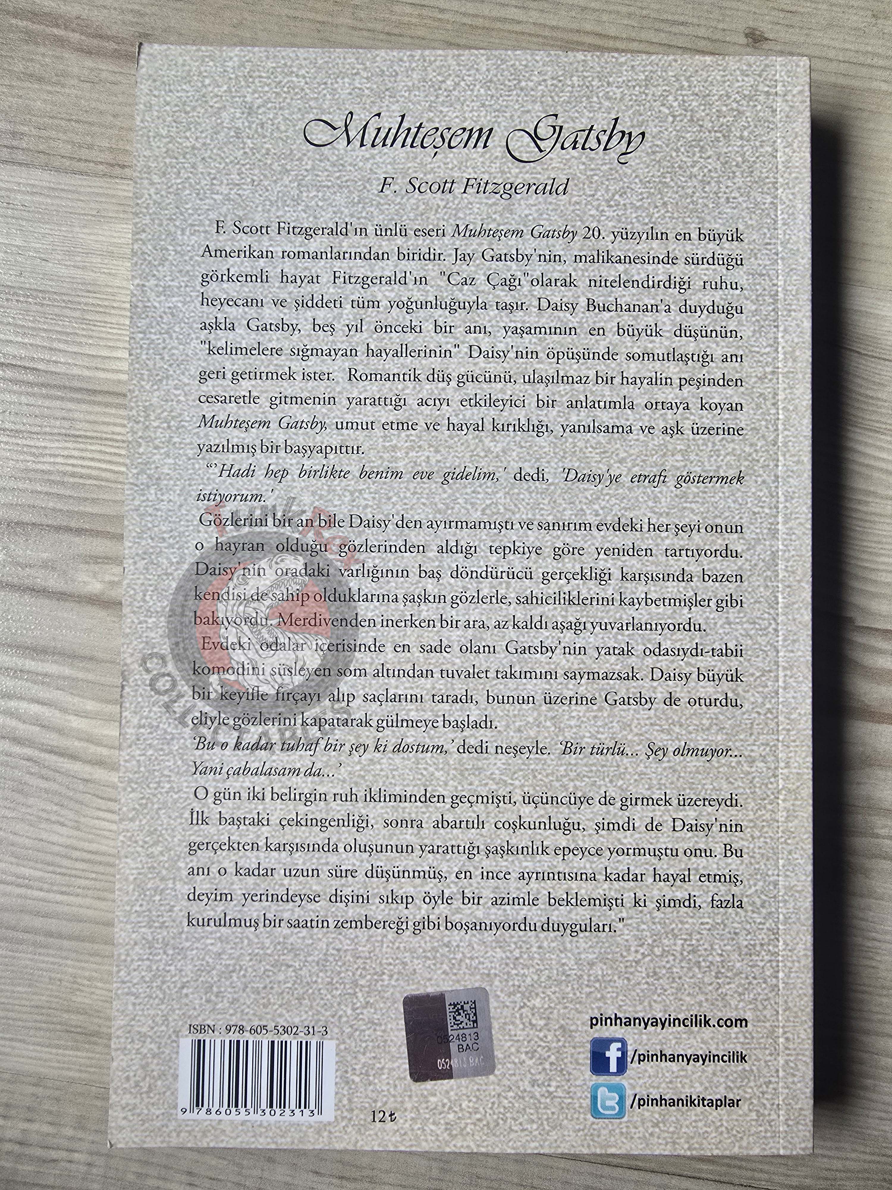 F. Scott Fitzgerald  – The Great Gatsby 2013 Illustrated Turkish Book Turkey