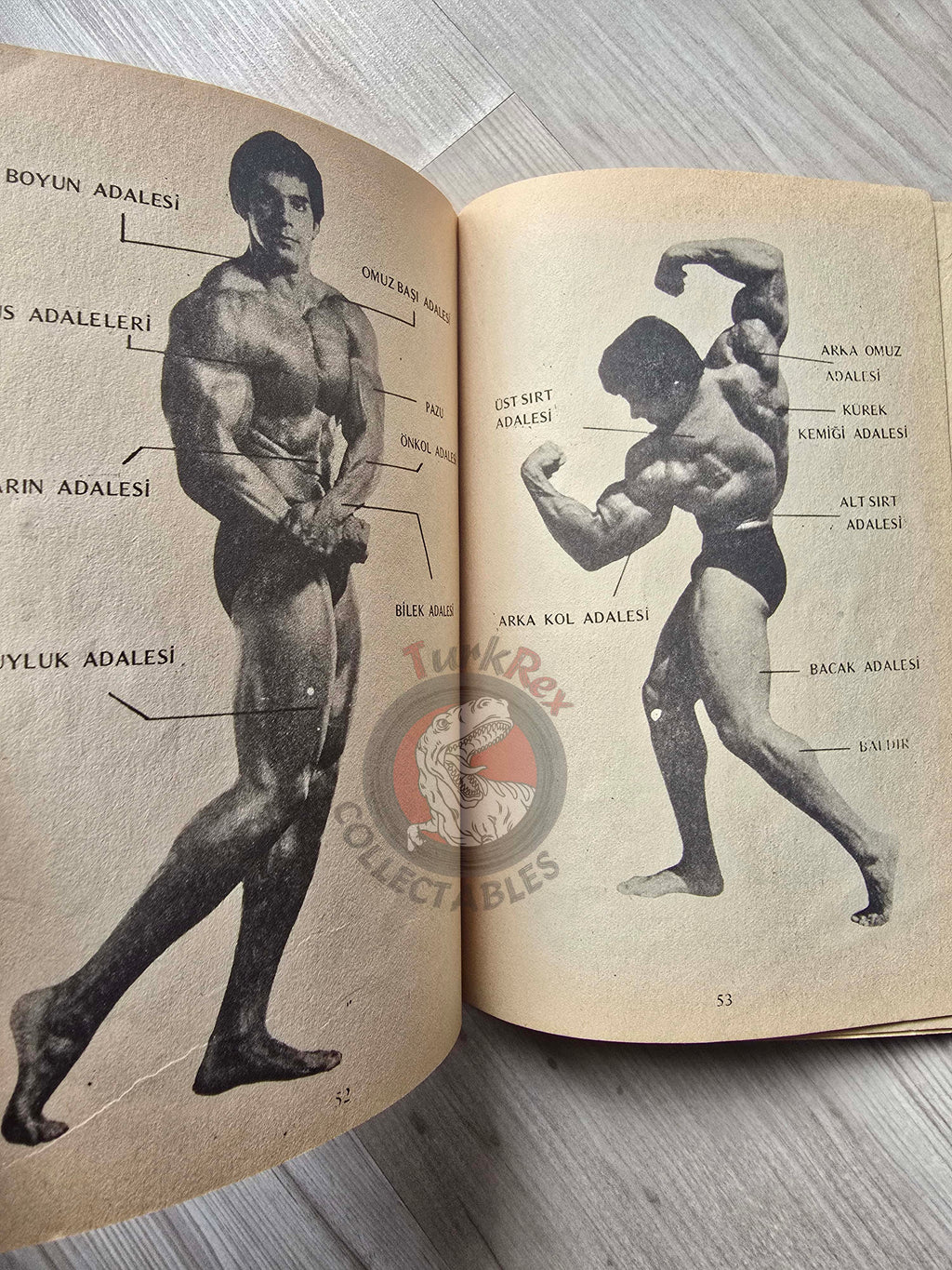Bodybuilding Technics 1989 Turkish Book Turkey Lou Ferrigno Joe Bucci