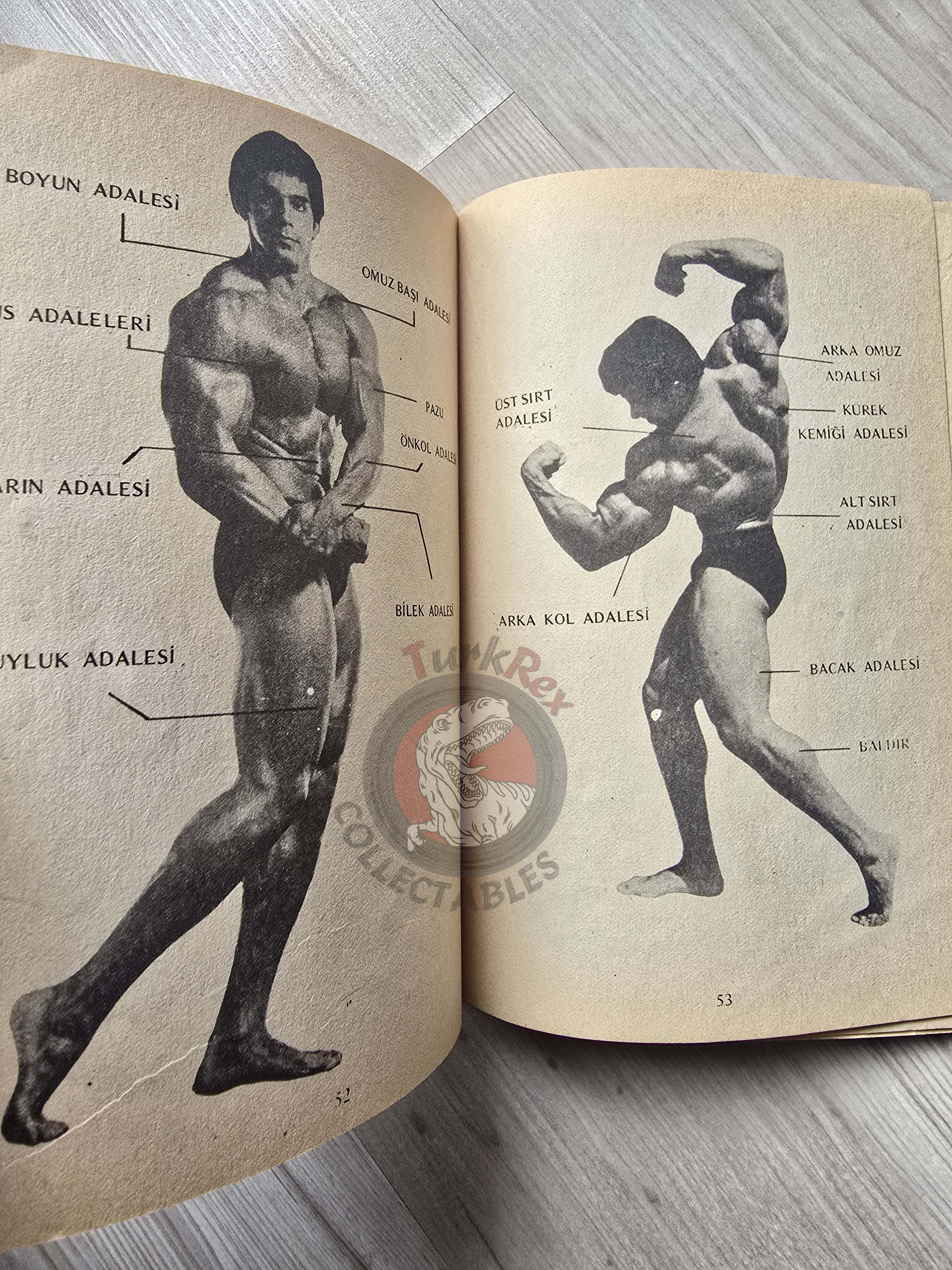 Bodybuilding Technics 1989 Turkish Book Turkey Lou Ferrigno Joe Bucci