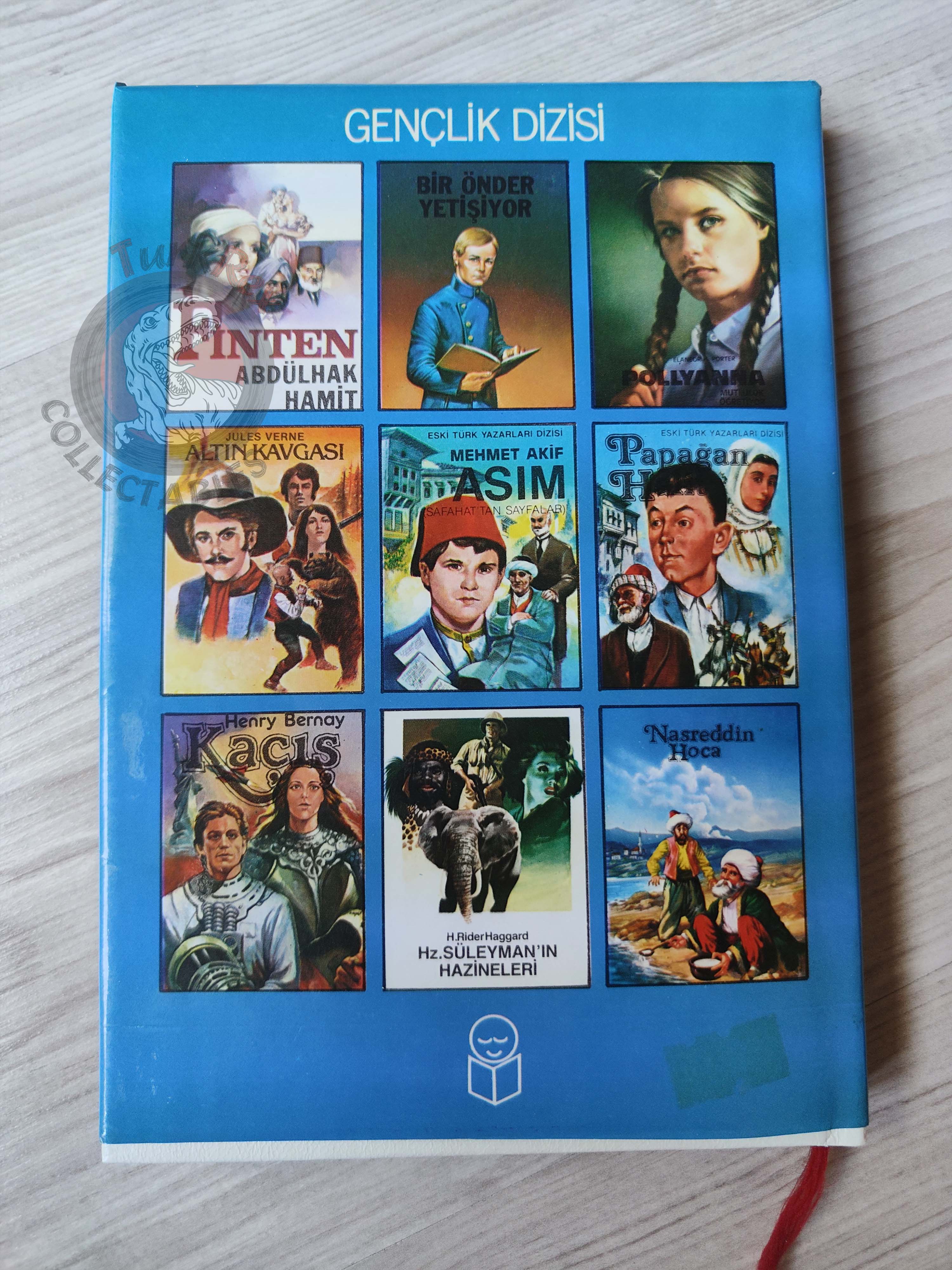 Selma Lagerlöf – The Wonderful Adventures Of Nils 90s Illustrated Turkish Book Turkey