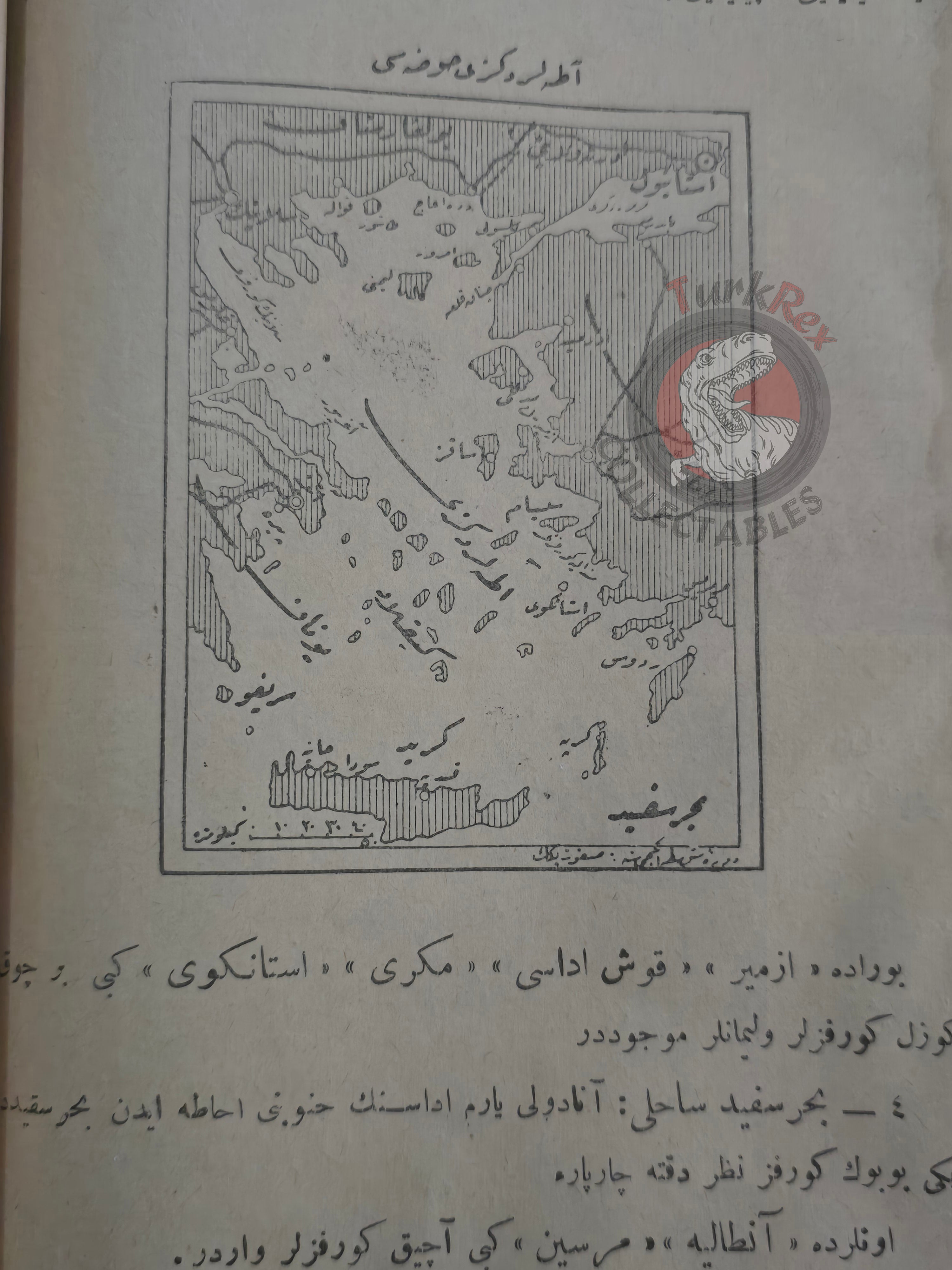 Ottoman Geography Textbook for Children 1921 with many maps Palestine