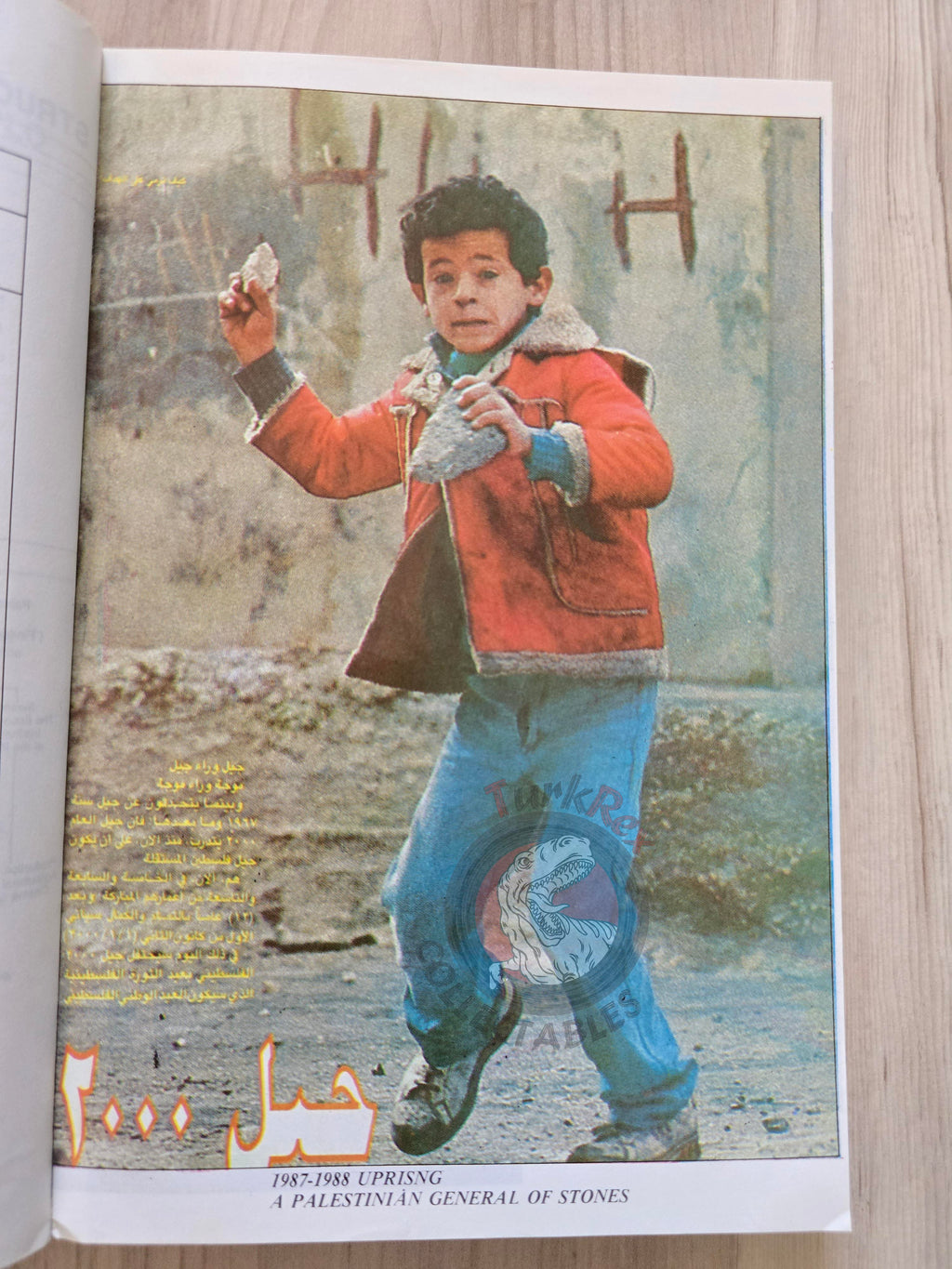 R. Halloum – Palestine Through Documents English Book Turkey with maps