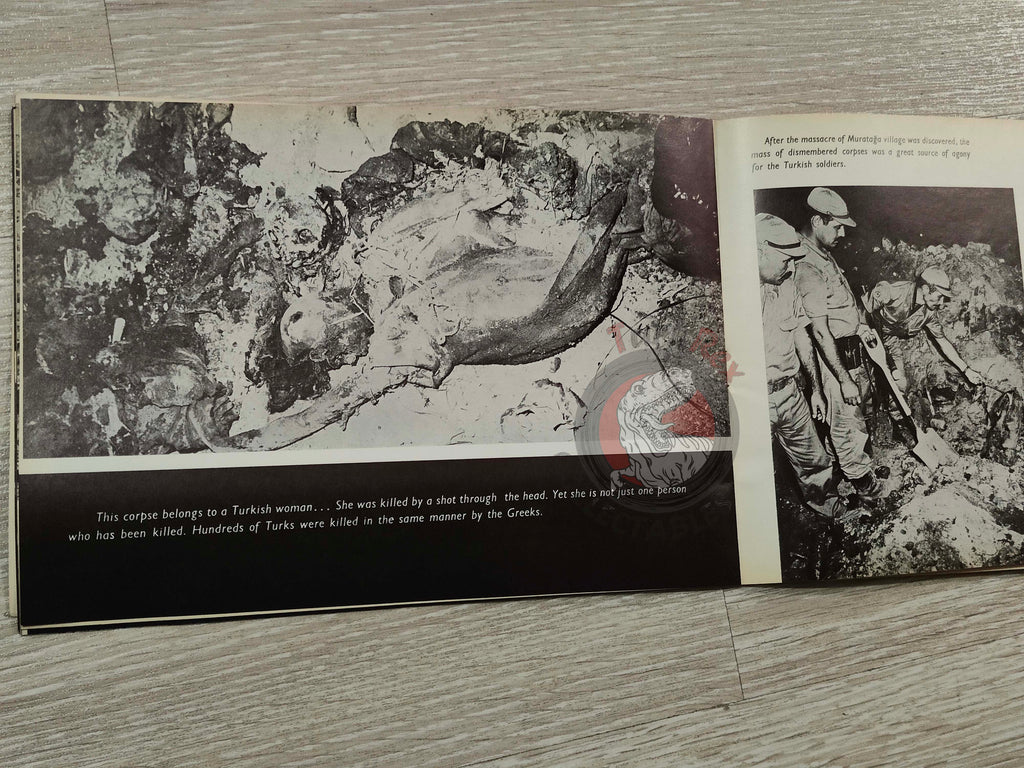 Genocide in 1974: To The Memory Of The Innocent Turkish Cypriots English Book Cyprus