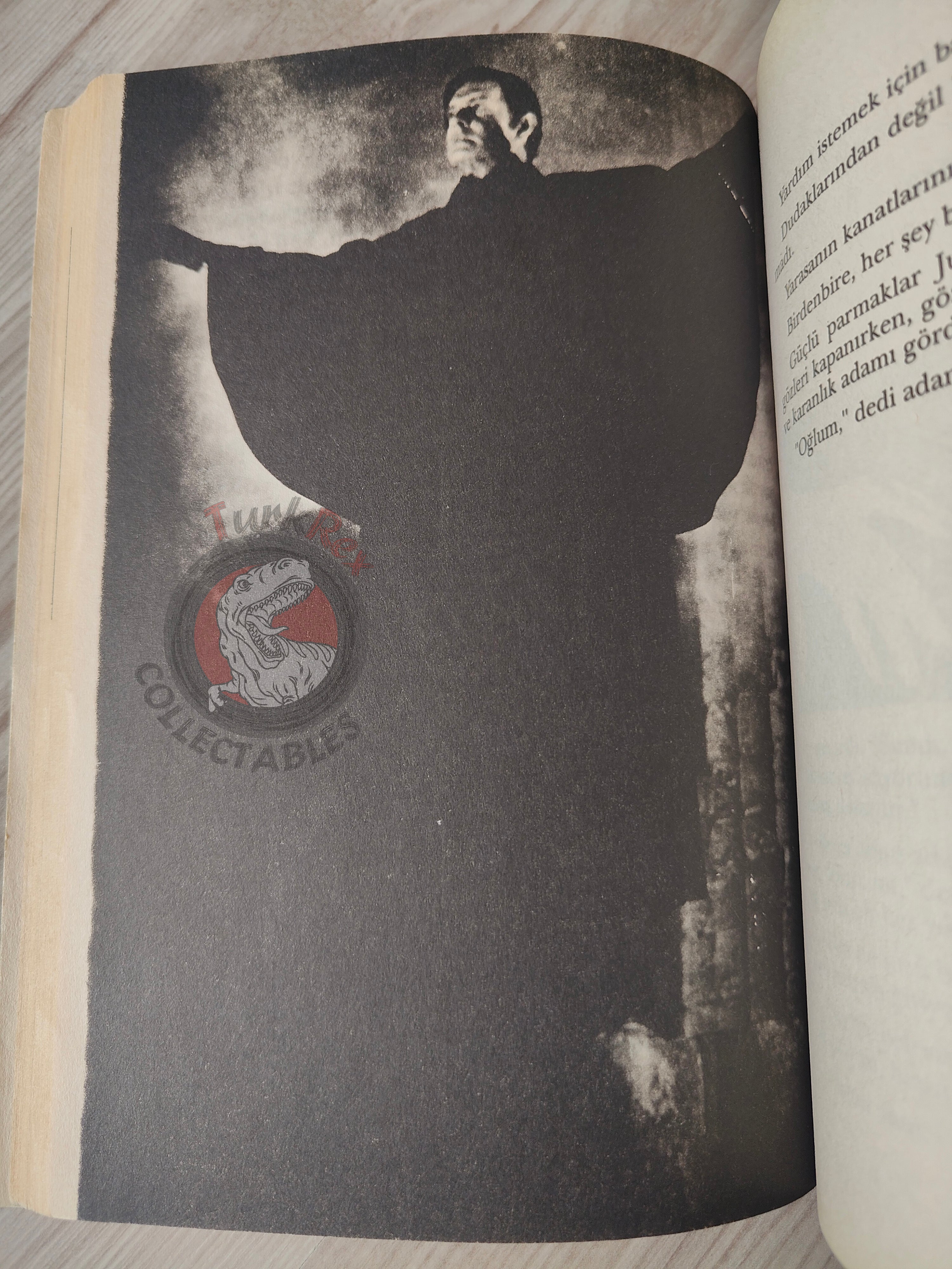 Bram Stoker – Dracula’s Guest 2000 Turkish Book Turkey Illustrated