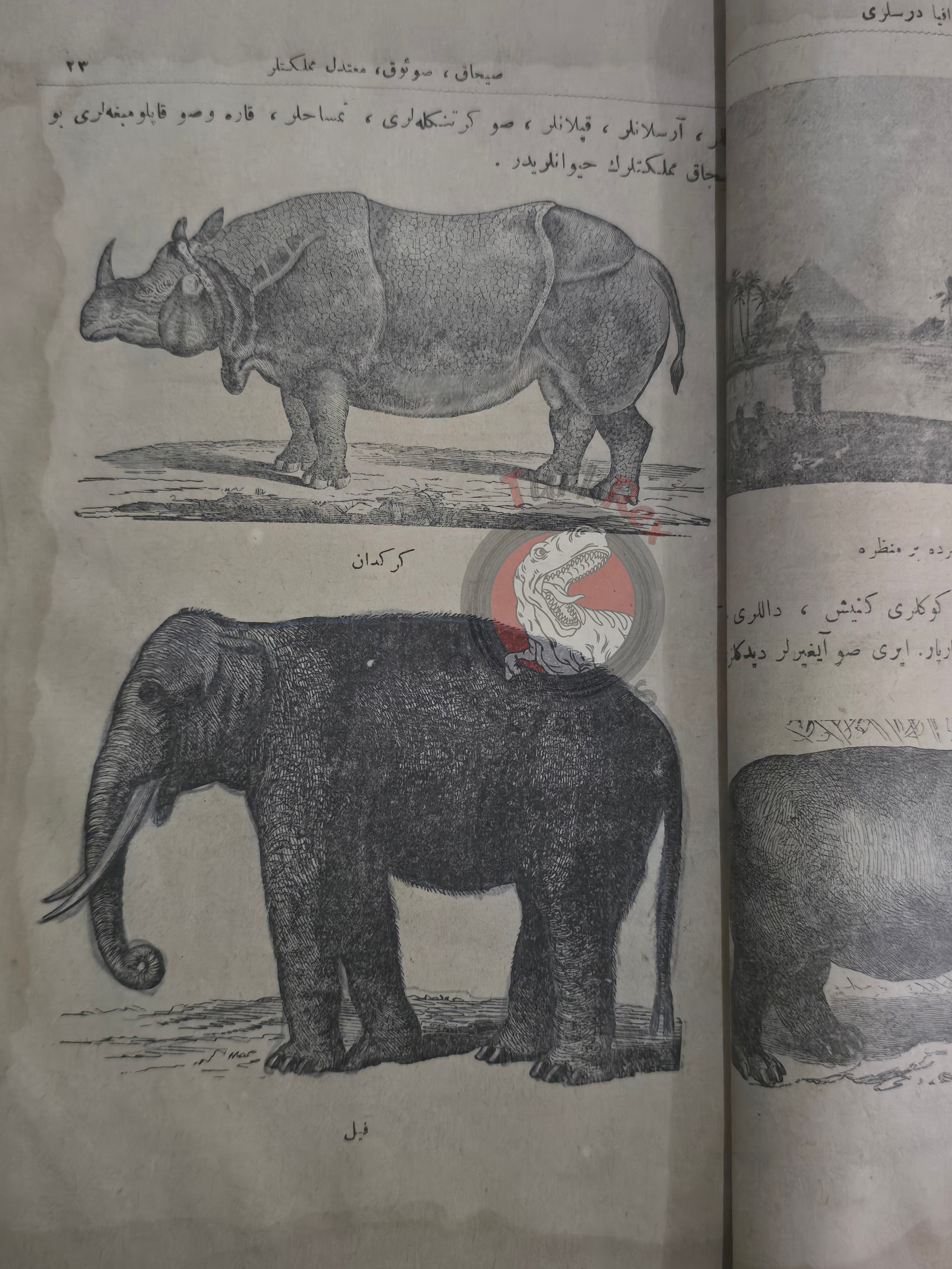 Ottoman Geography Textbook for Children 1921 with many maps Palestine