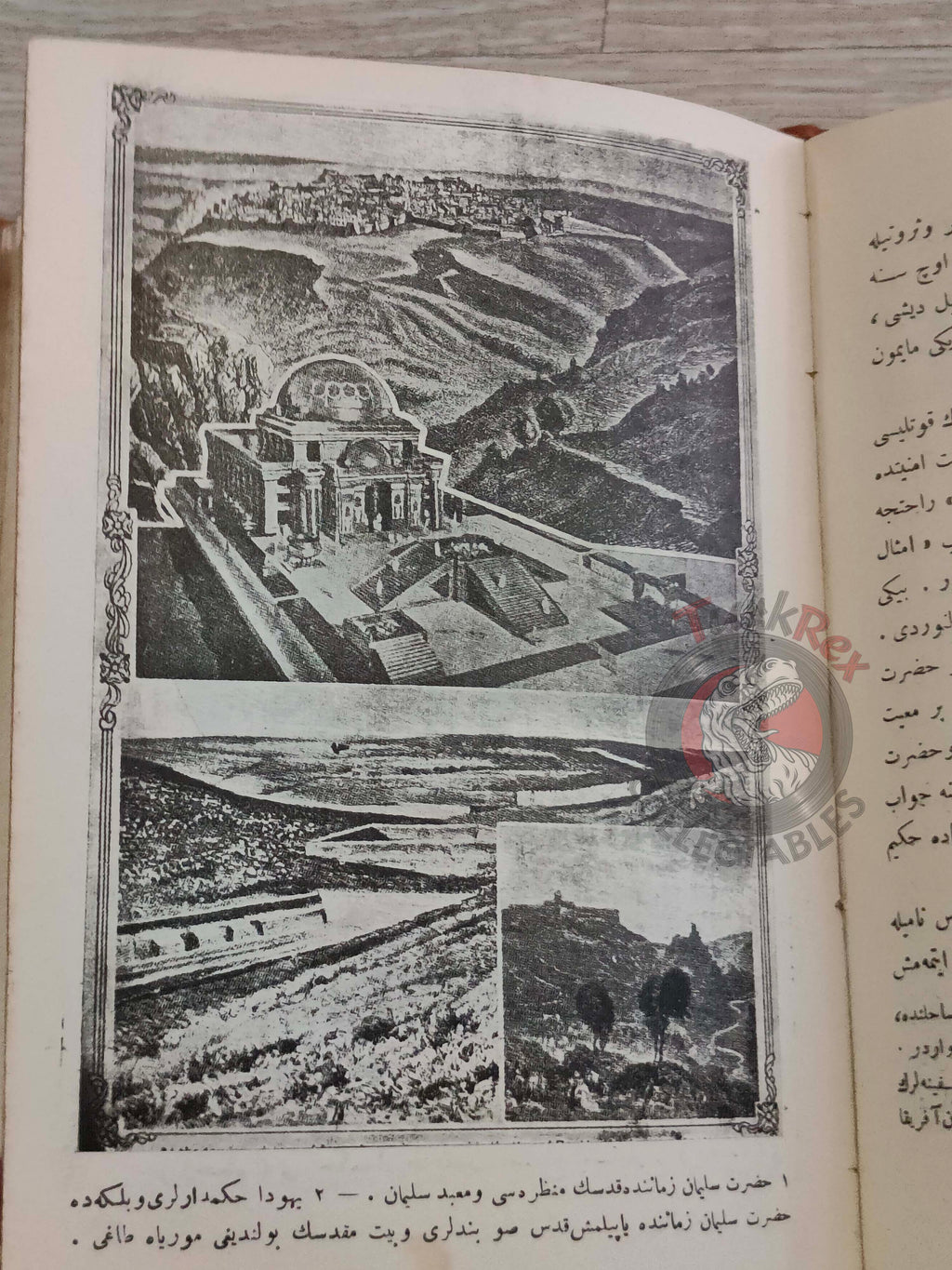 Ottoman 1915 Ancient History Book with many Maps Ali Reşad Empire Greeks Eastern Palestine