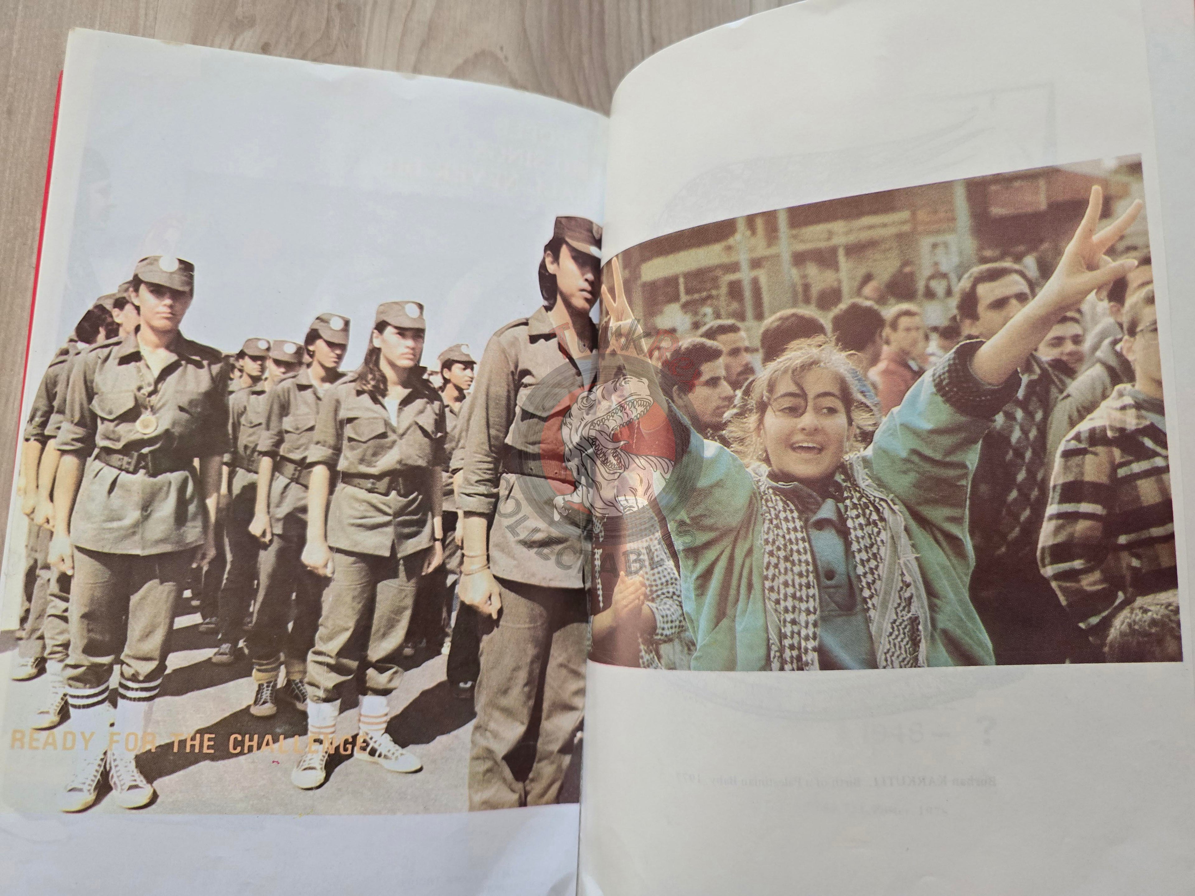 R. Halloum – Palestine Through Documents English Book Turkey with maps