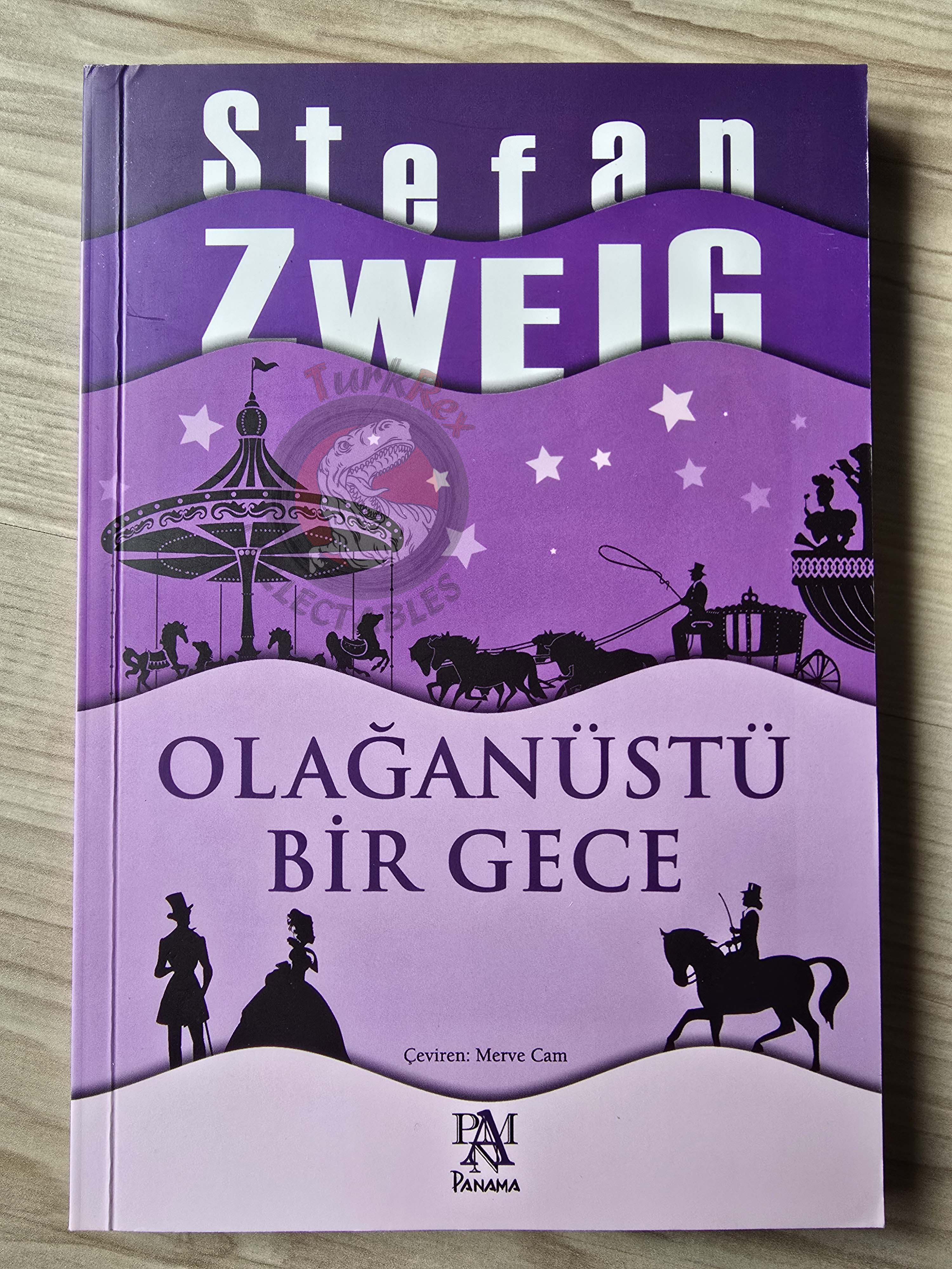 Stefan Zweig – Fantastic Night Turkish Book Turkey