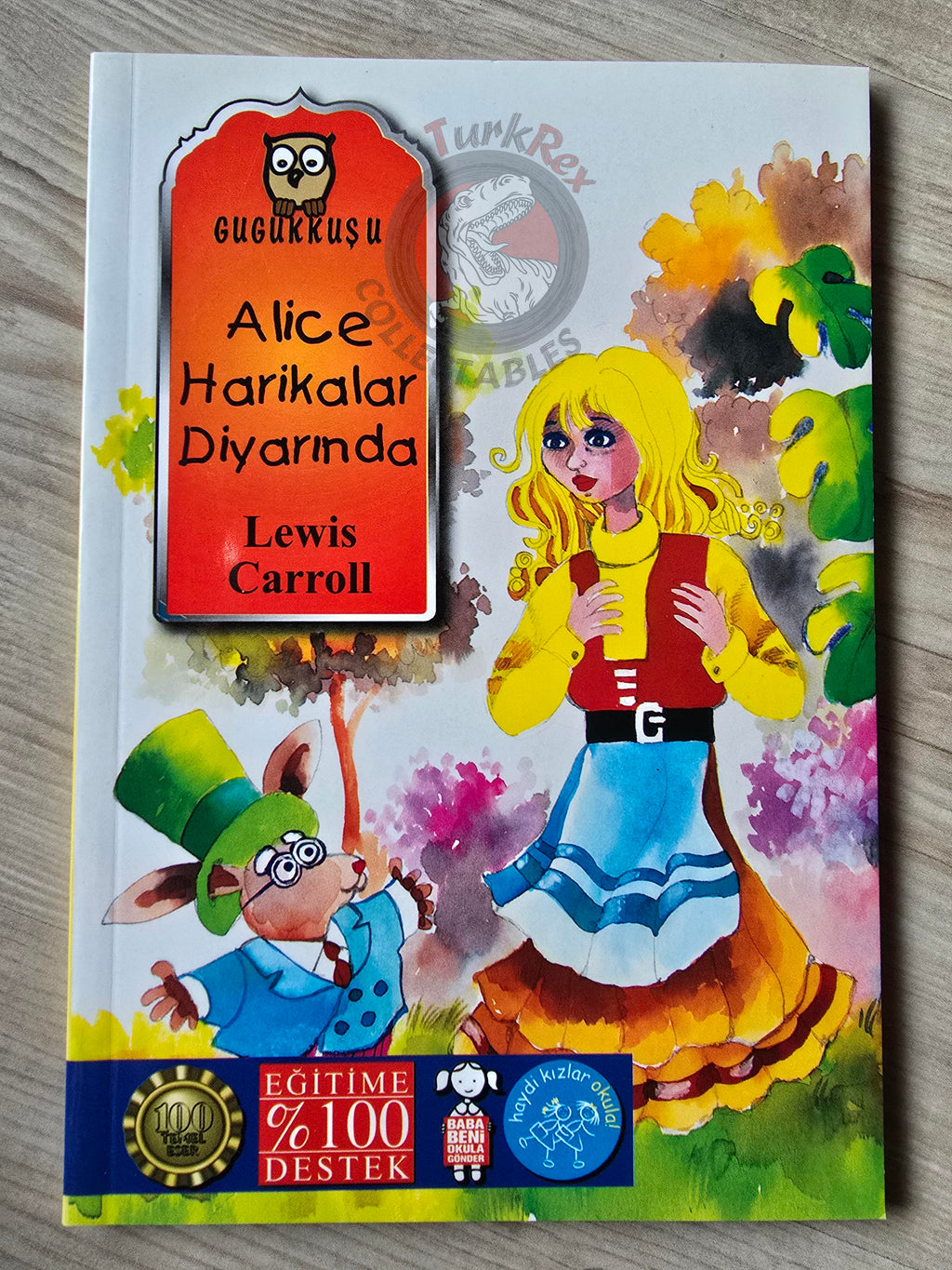 Lewis Carroll – Alice in Wonderland 2011 Turkish Book Turkey Illustrated 3
