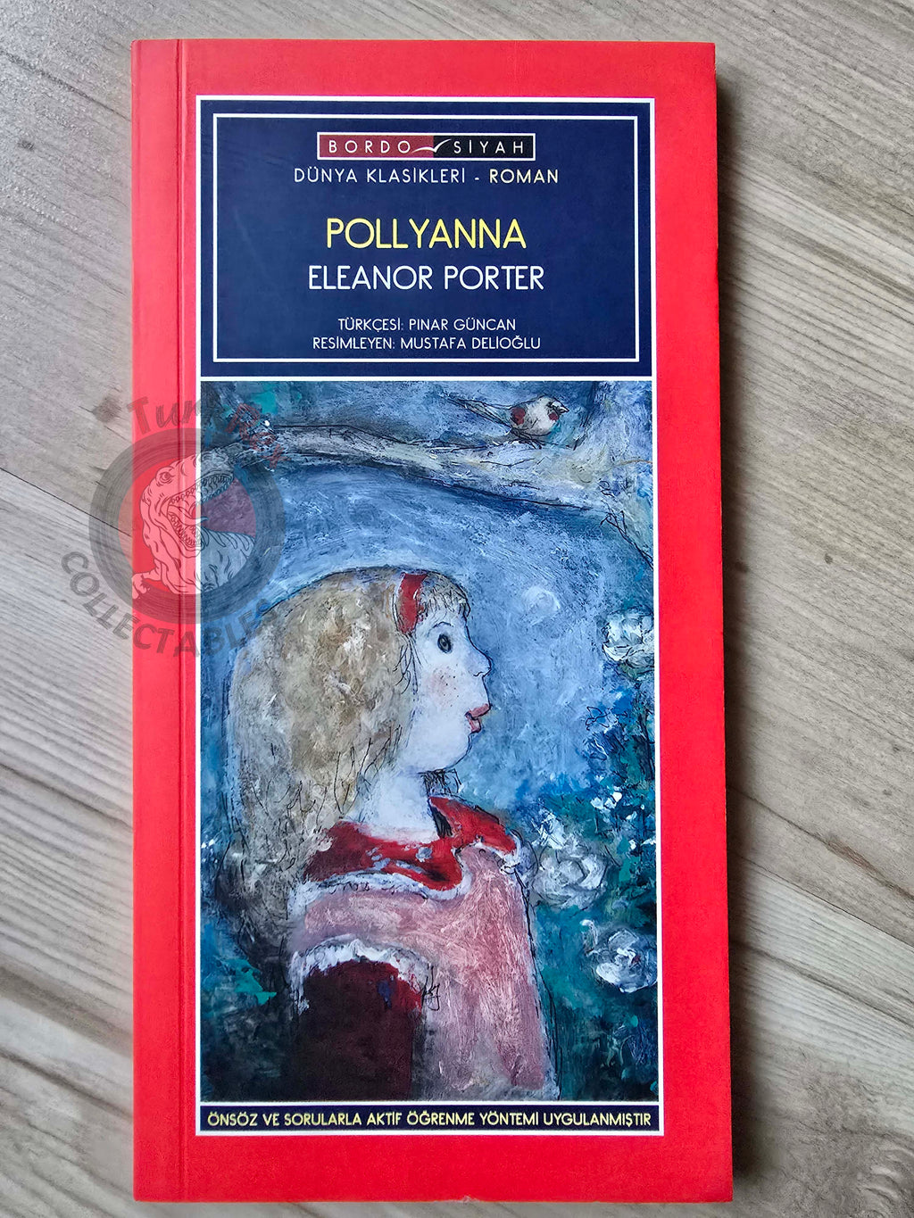 Eleanor H. Porter – Pollyanna 2010 Turkish Book Turkey Illustrated