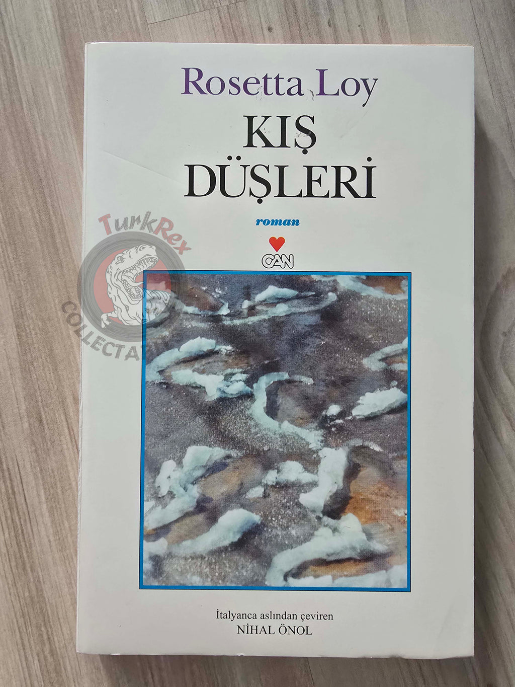 Rosetta Loy – Sogni d'Inverno 2001 1st Turkish Book Turkey