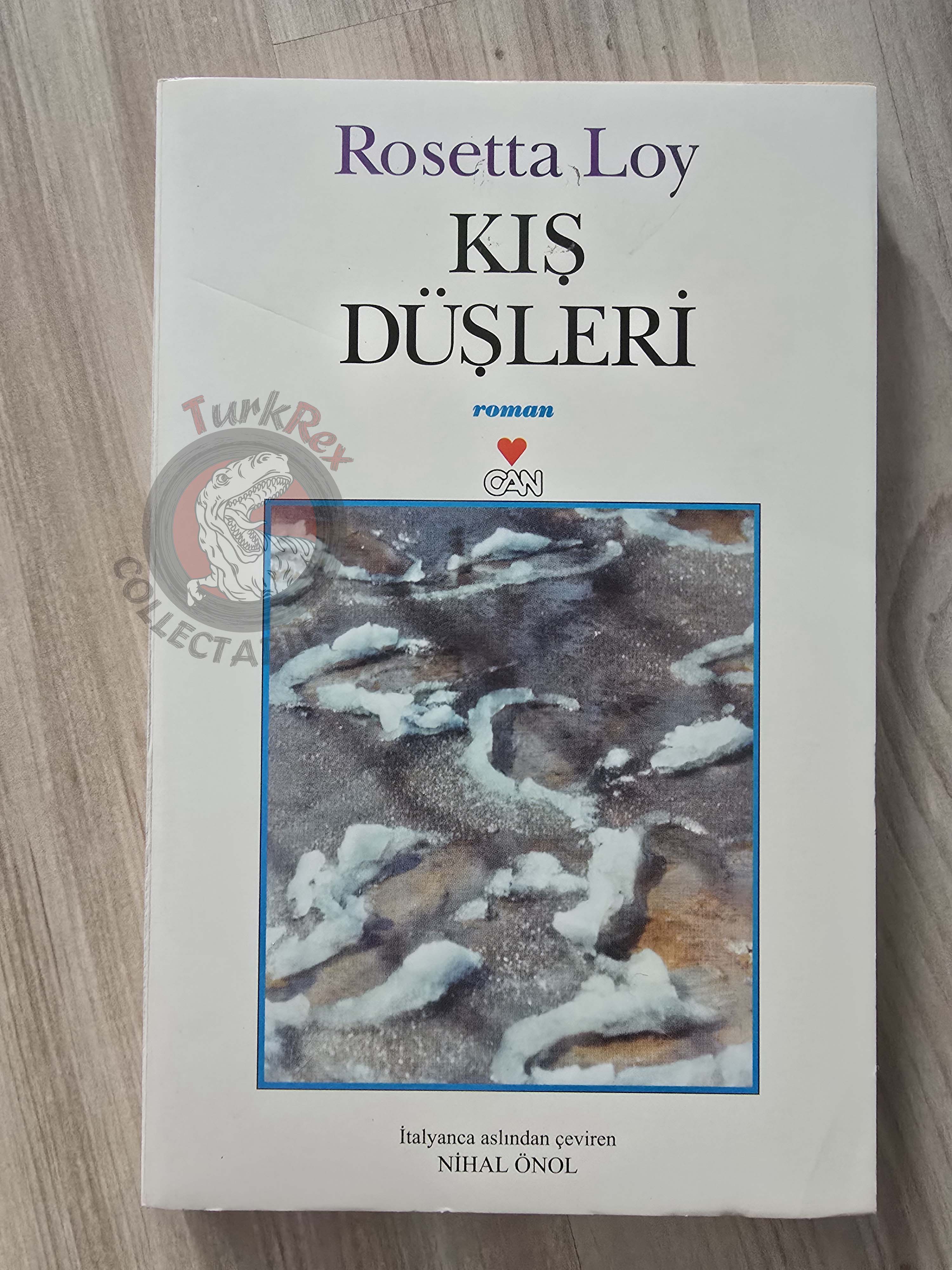 Rosetta Loy – Sogni d'Inverno 2001 1st Turkish Book Turkey