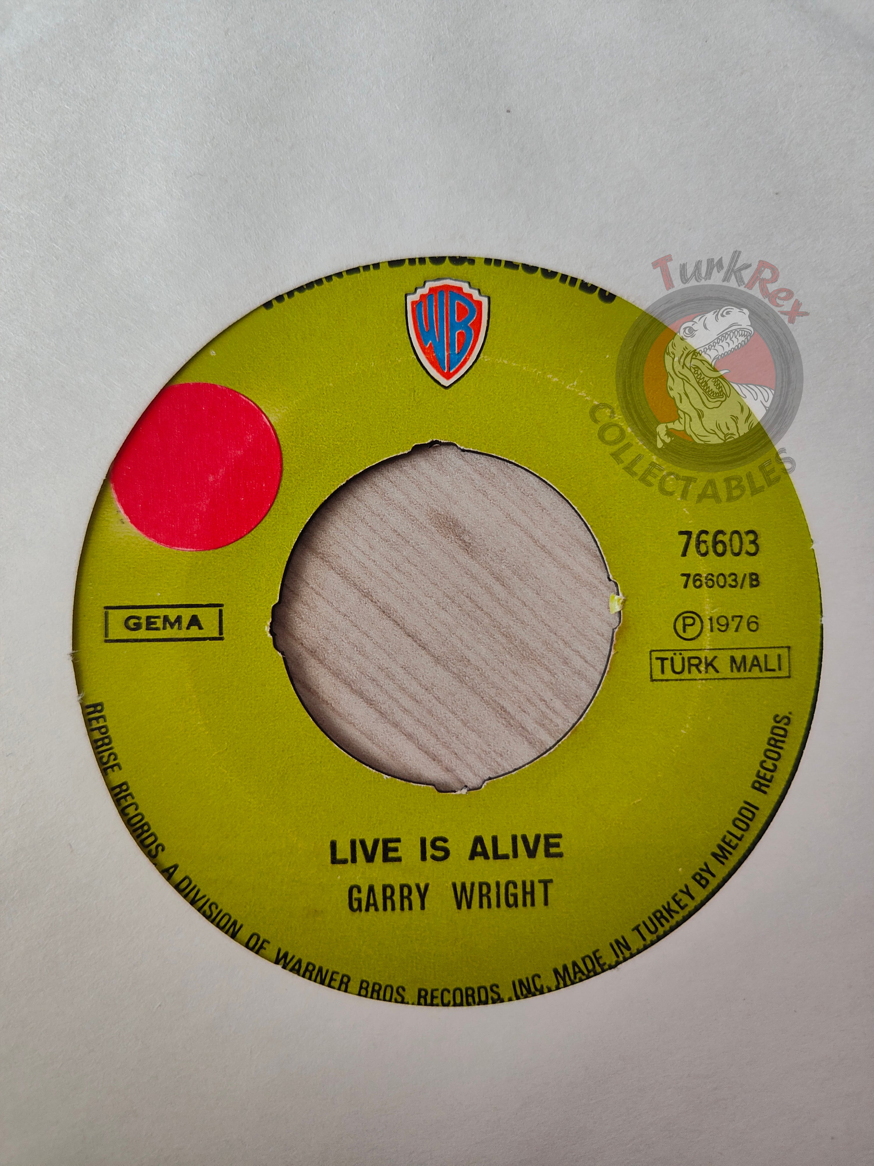 Garry Wright – Dream Weaver 7" Turkish Pressing Vinyl Turkey Edition