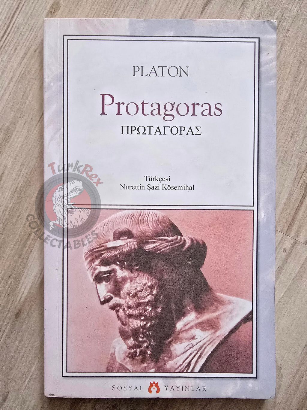 Plato – Protagoras 2001 Turkish Book Turkey