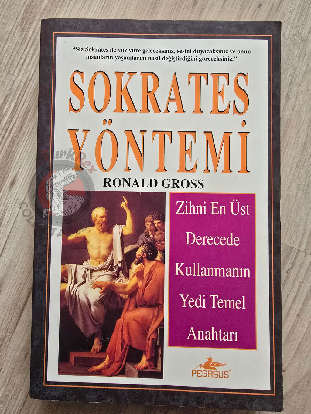Ronald Gross – The Socrates Method 2006 Turkish Book Turkey