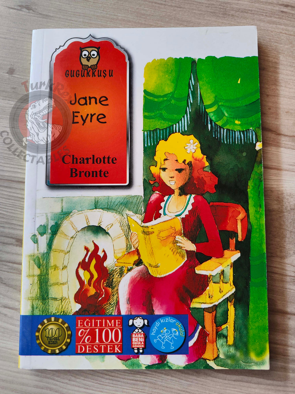 Charlotte Brontë – Jane Eyre 2011 Turkish Book Turkey Illustrated