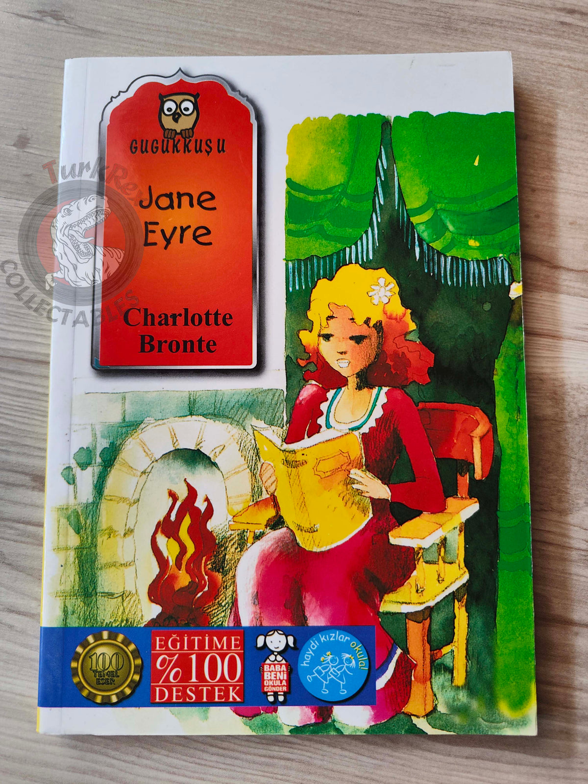 Charlotte Brontë – Jane Eyre 2011 Turkish Book Turkey Illustrated