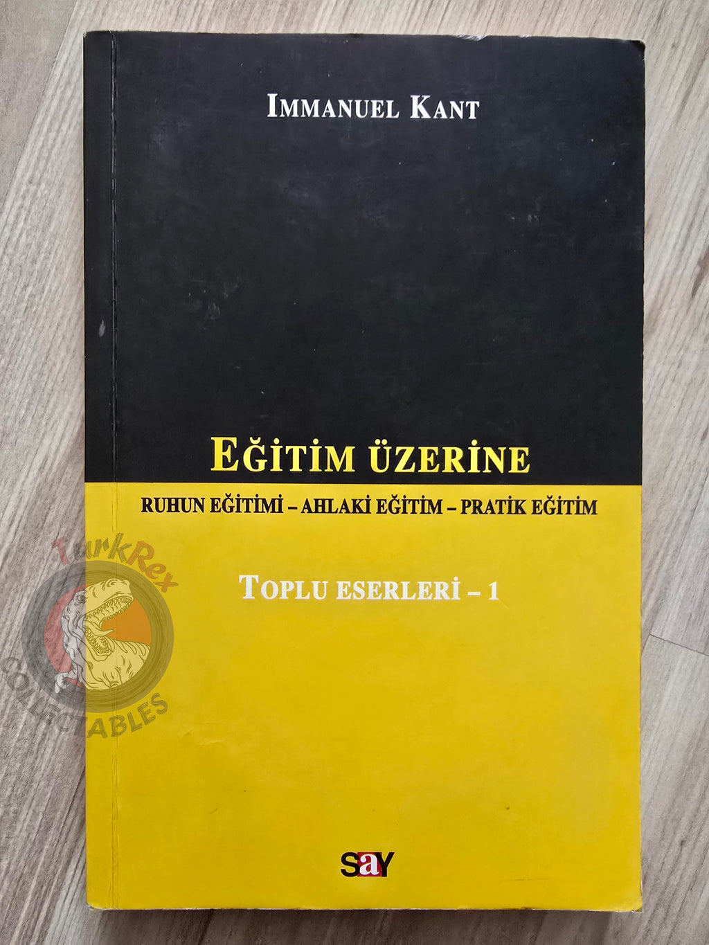 Immanuel Kant – On Education 2007 Turkish Book Turkey