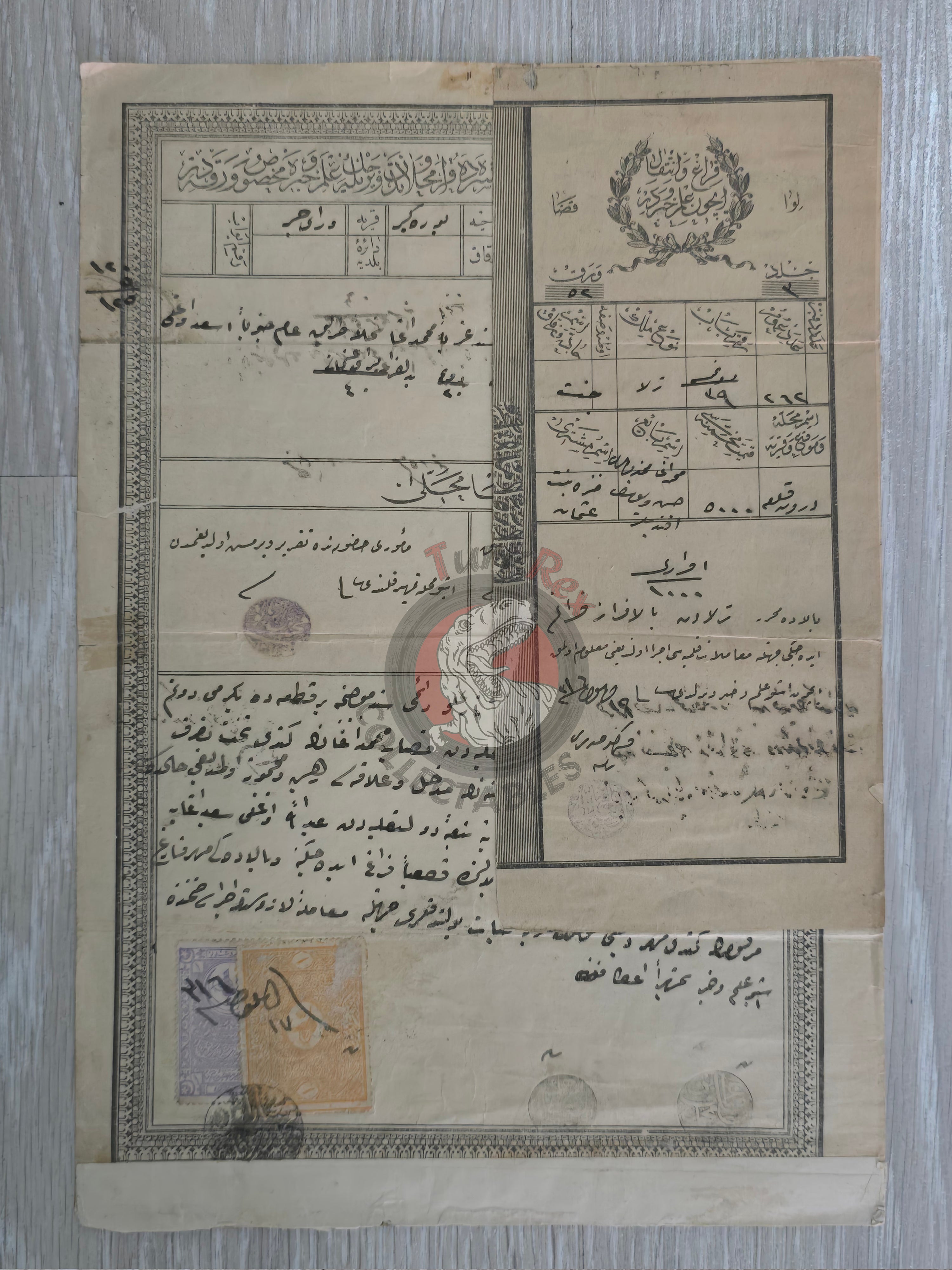 Ottoman 1900 Land Deed Agricultural Land in Adana Yüreğir Title Deed