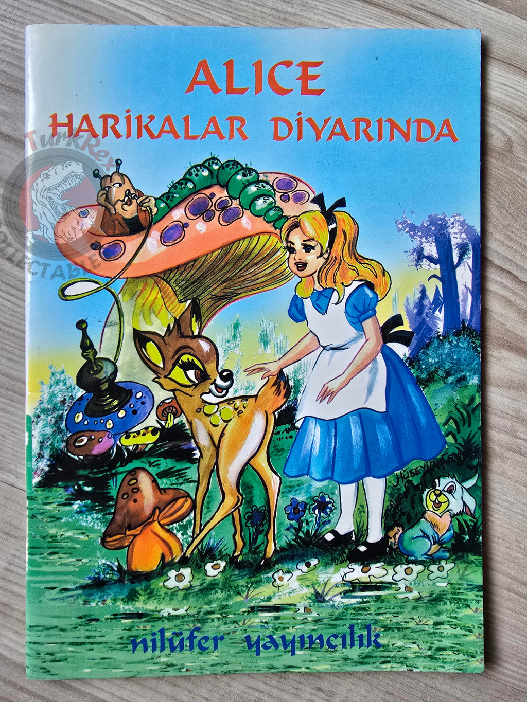 Lewis Carroll – Alice in Wonderland 2003 Turkish Book Turkey Illustrated