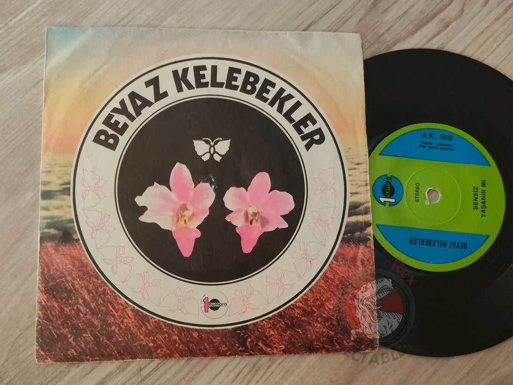 Beyaz Kelebekler – Ne Güzel Olmuşsun 7" Turkish Pressing Vinyl Turkey Edition