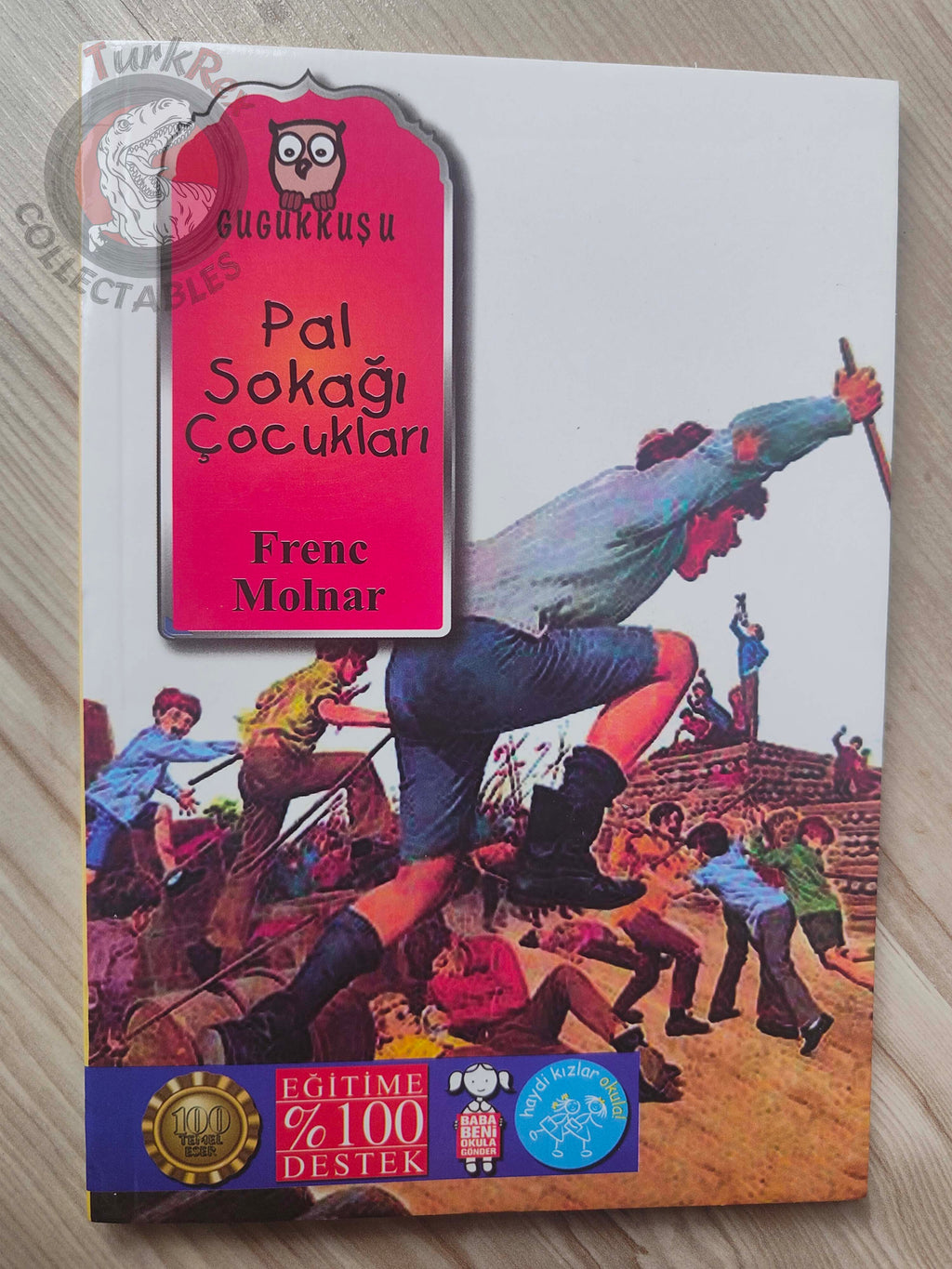 Ferenc Molnár – The Paul Street Boys 2013 Turkish Book Turkey Illustrated