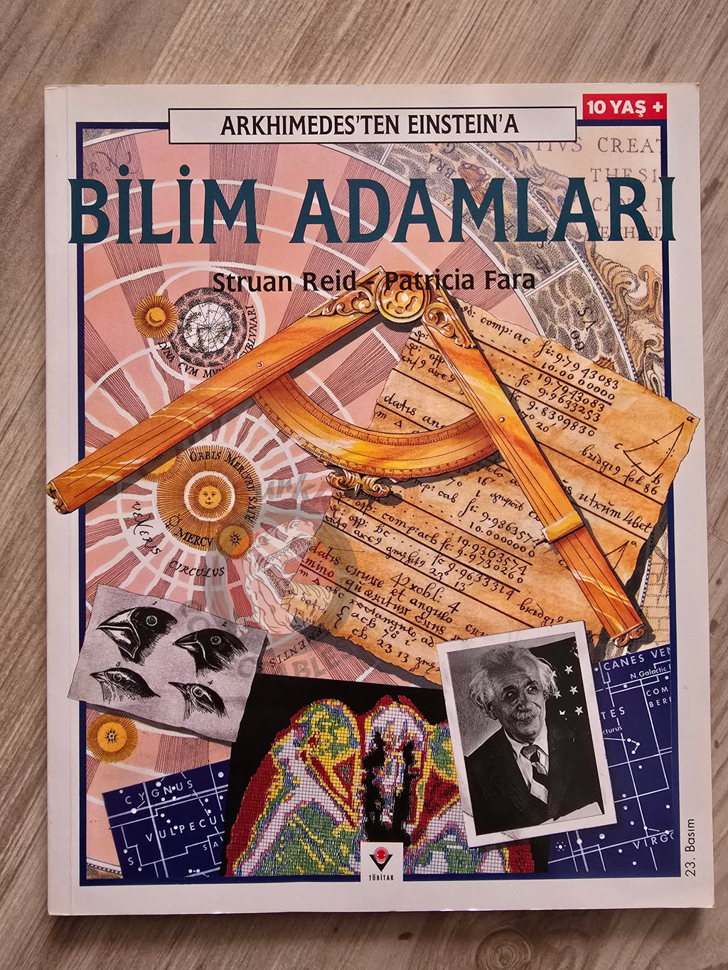 Struan Reid – Scientists: From Archimedes To Einstein 2007 Turkish Book Turkey