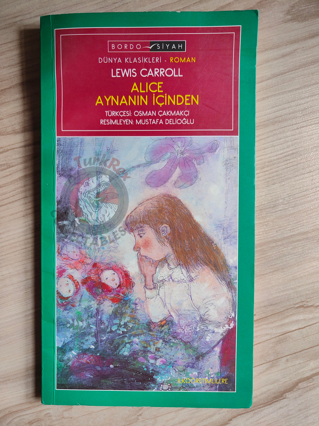 Lewis Carroll – Through the Looking-Glass 2006 Turkish Book Turkey Illustrated