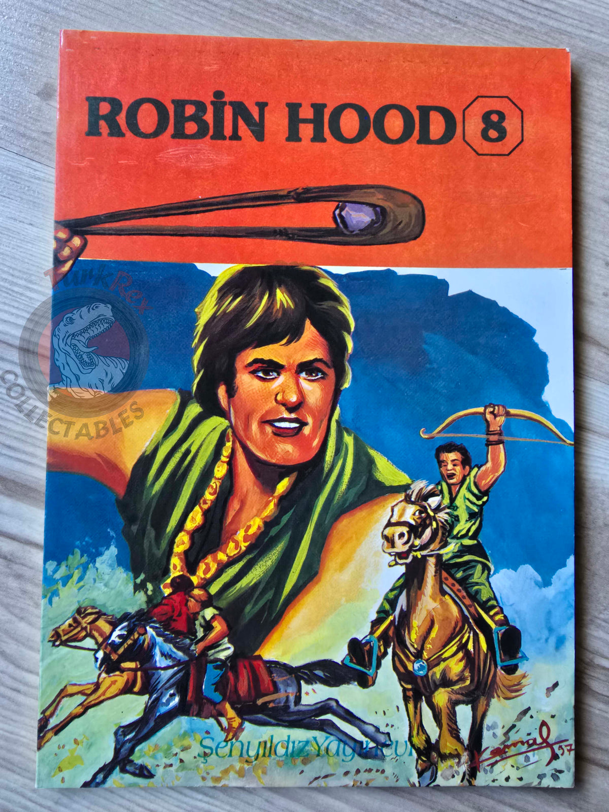 Robin Hood – Howard Pyle 1998 Turkish Book Turkey Illustrated