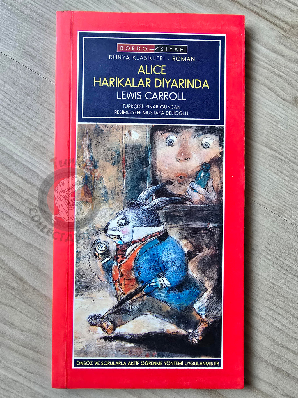 Lewis Carroll – Alice in Wonderland 2010 Turkish Book Turkey Illustrated 3