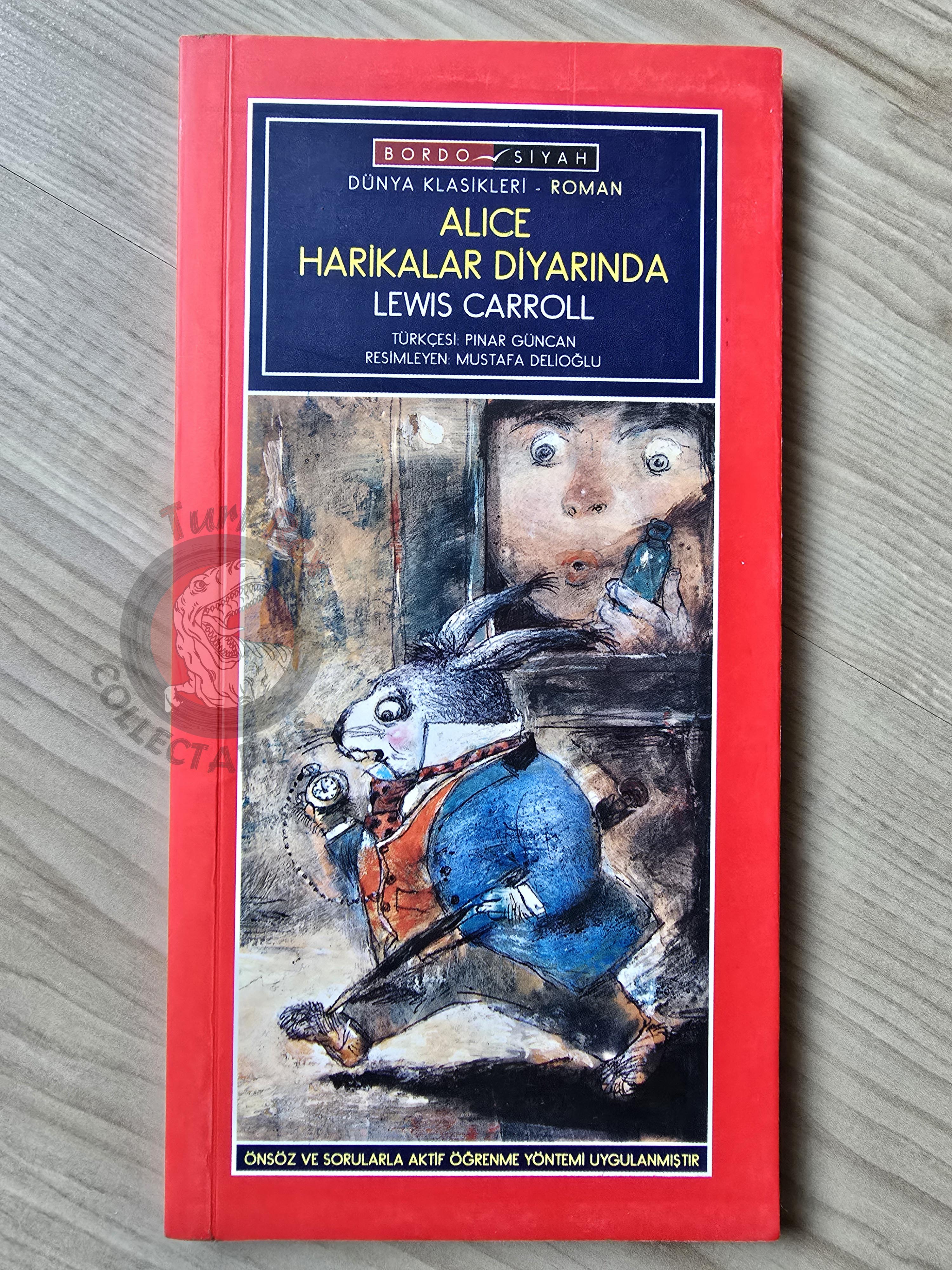 Lewis Carroll – Alice in Wonderland 2010 Turkish Book Turkey Illustrated 3