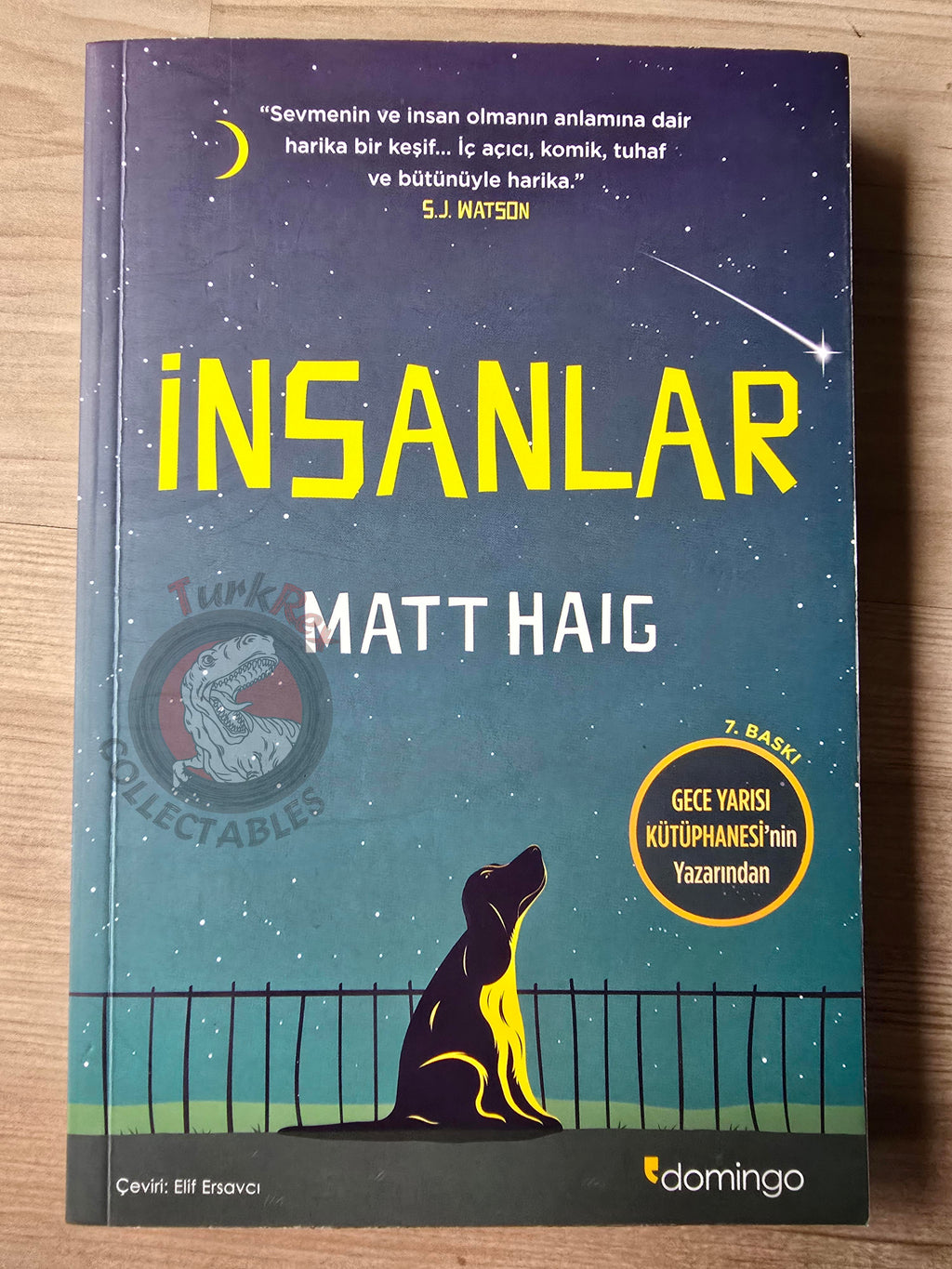 Matt Haig – The Humans 2023 Turkish Book Turkey