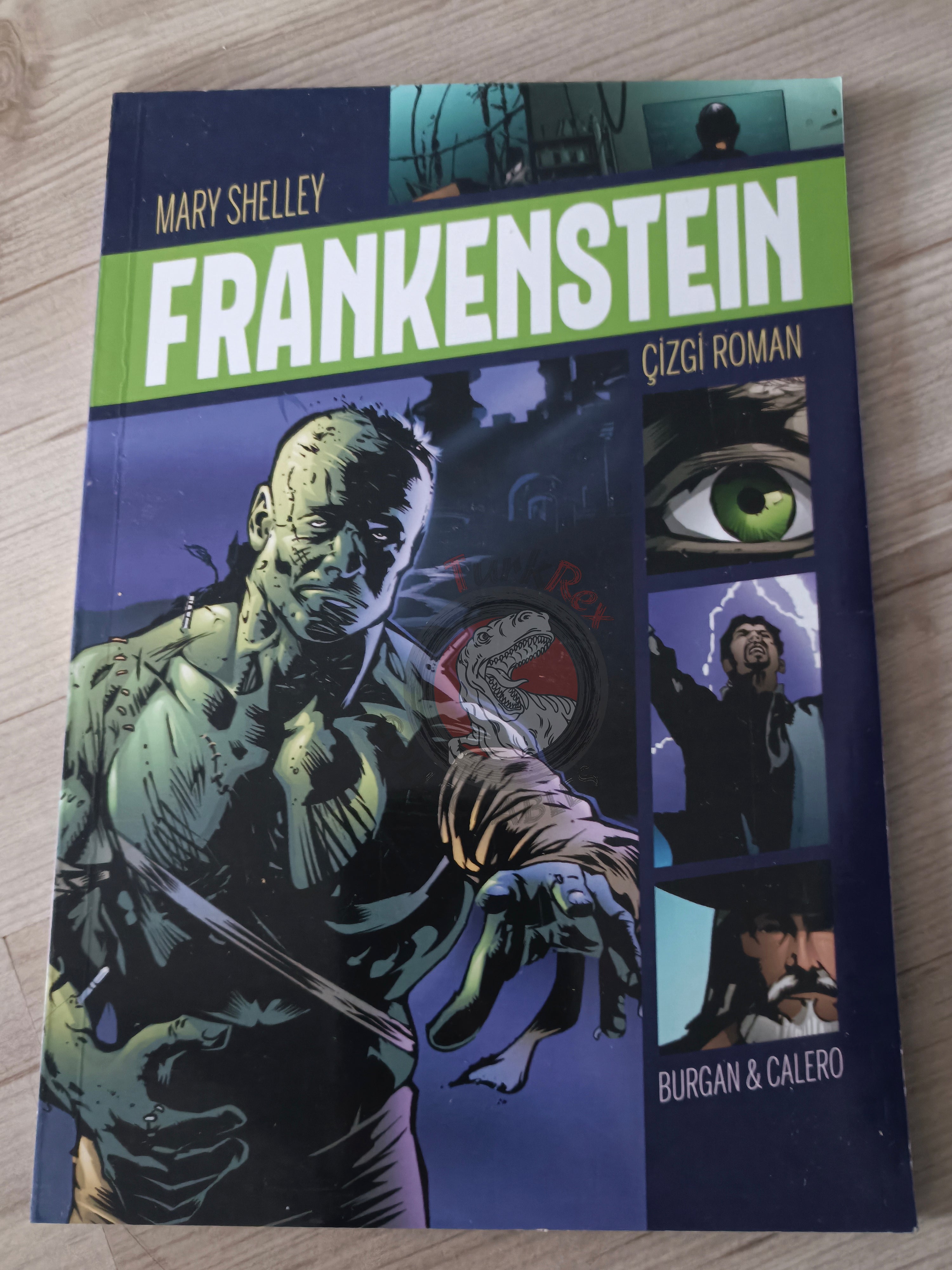 Frankenstein by Mary Shelley Turkish Comic Turkey Stone Arch Books