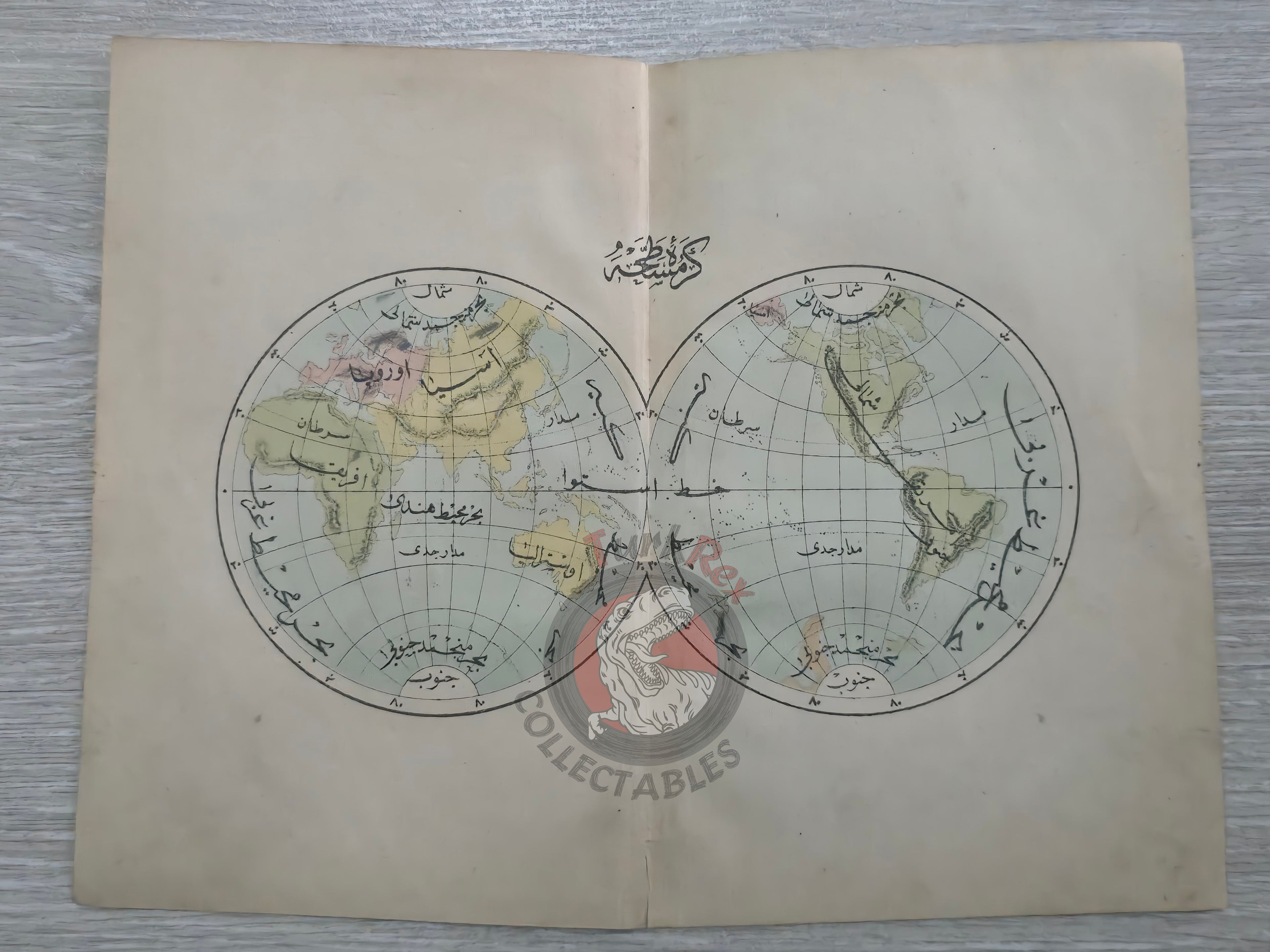 Ottoman Map of the World Hemispheres 1876 Ottoman Empire Continents Asia Europe