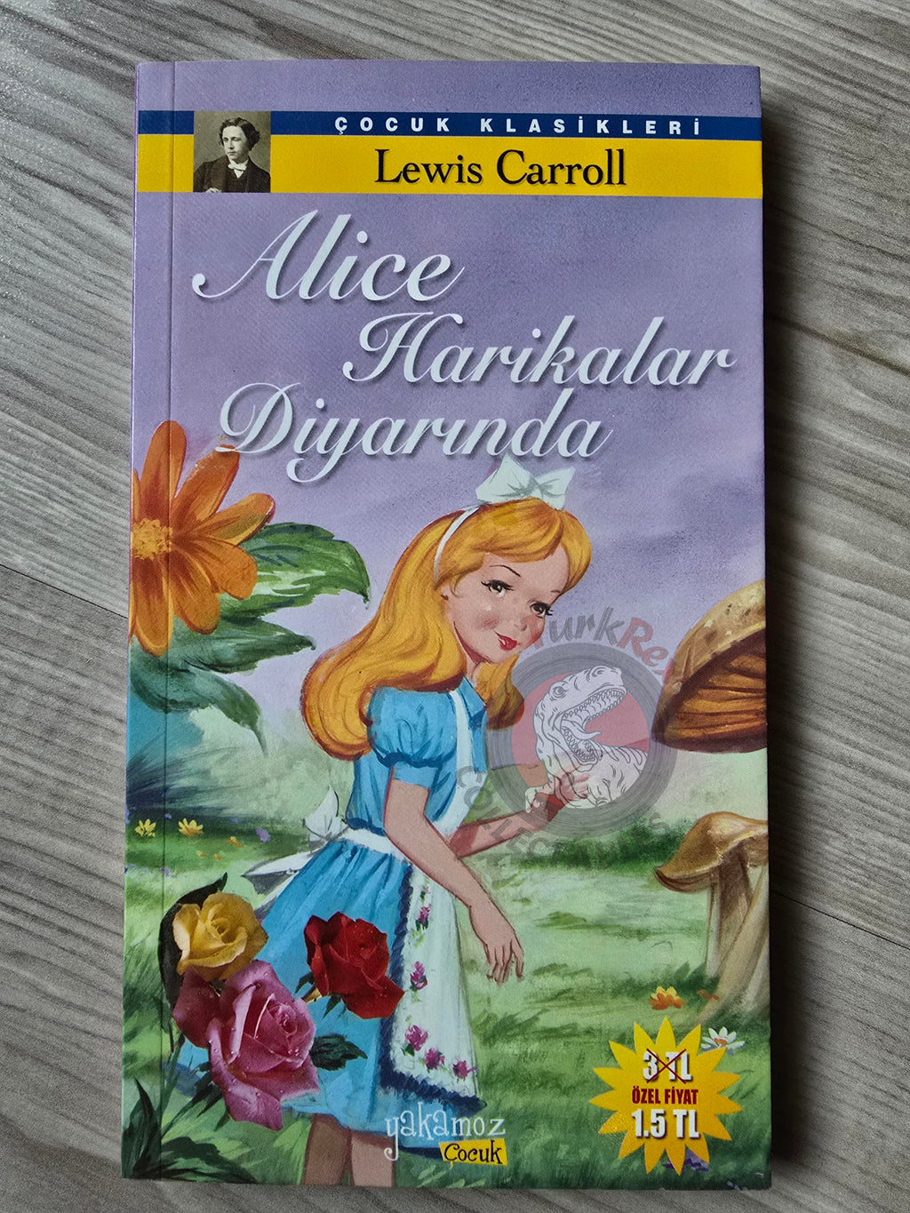 Lewis Carroll – Alice in Wonderland 2010 Turkish Book Turkey