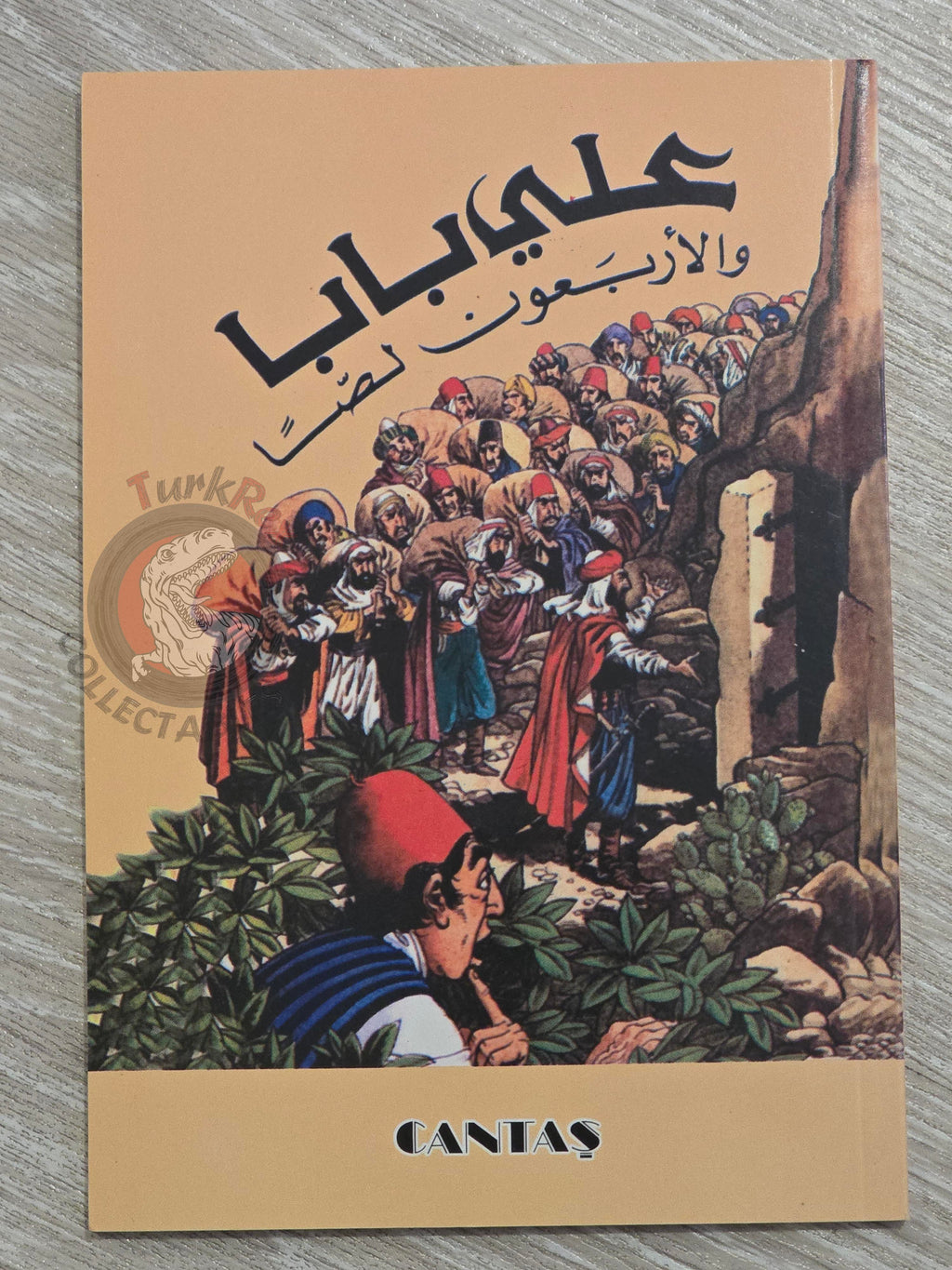 Ali Baba and the Forty Thieves 2000s Arabic Book Turkey 1001 Nights Illustrated