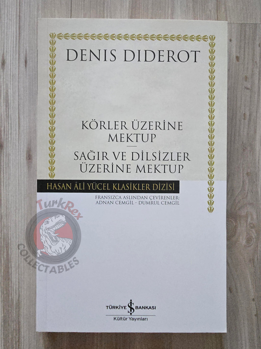 Denis Diderot – Letter on the Blind Deaf and Dumb 2012 Turkish Book Turkey