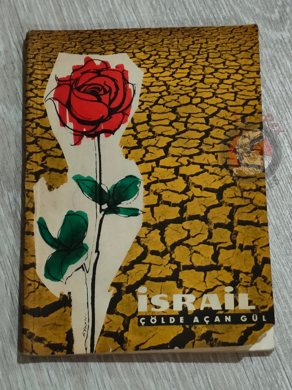 Israel 13th Anniversary 1961 Israeli Embassy Propaganda Turkish Book Turkey Middle East