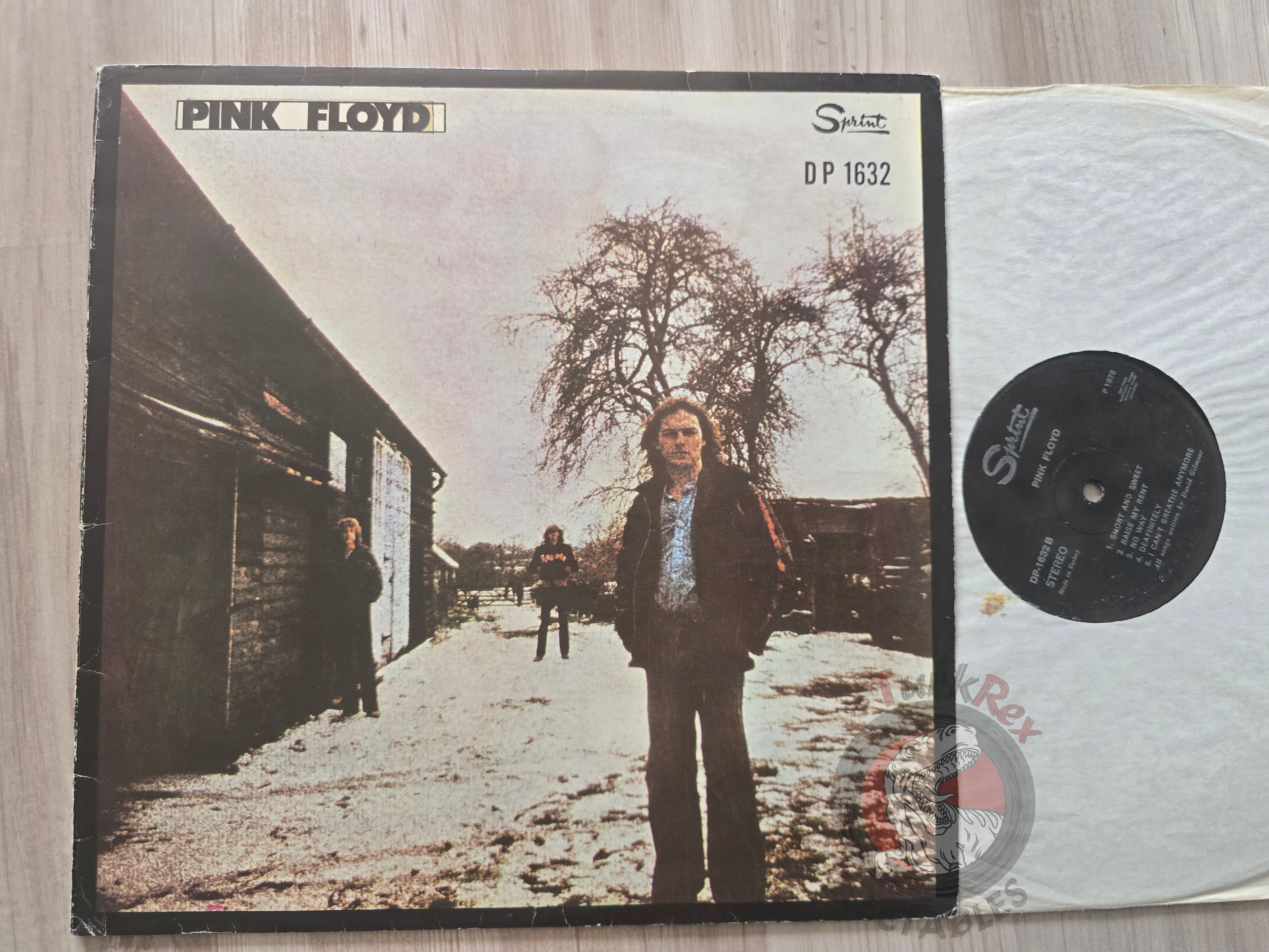 Pink Floyd – David Gilmour Turkish Pressing Vinyl Turkey Edition