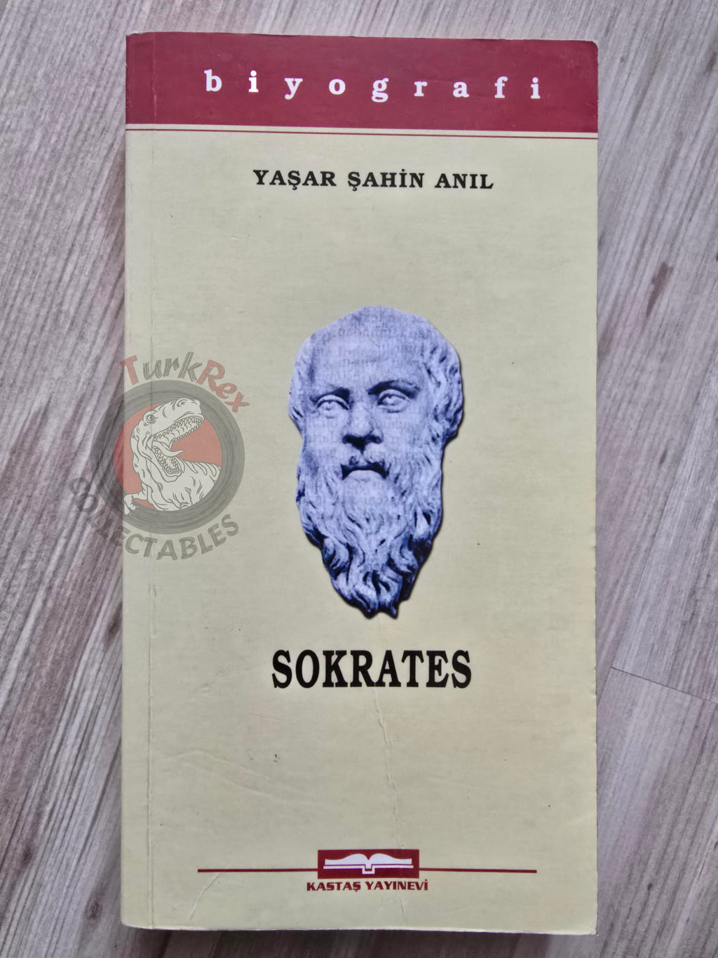 Socrates Biography 2006 Turkish Book Turkey