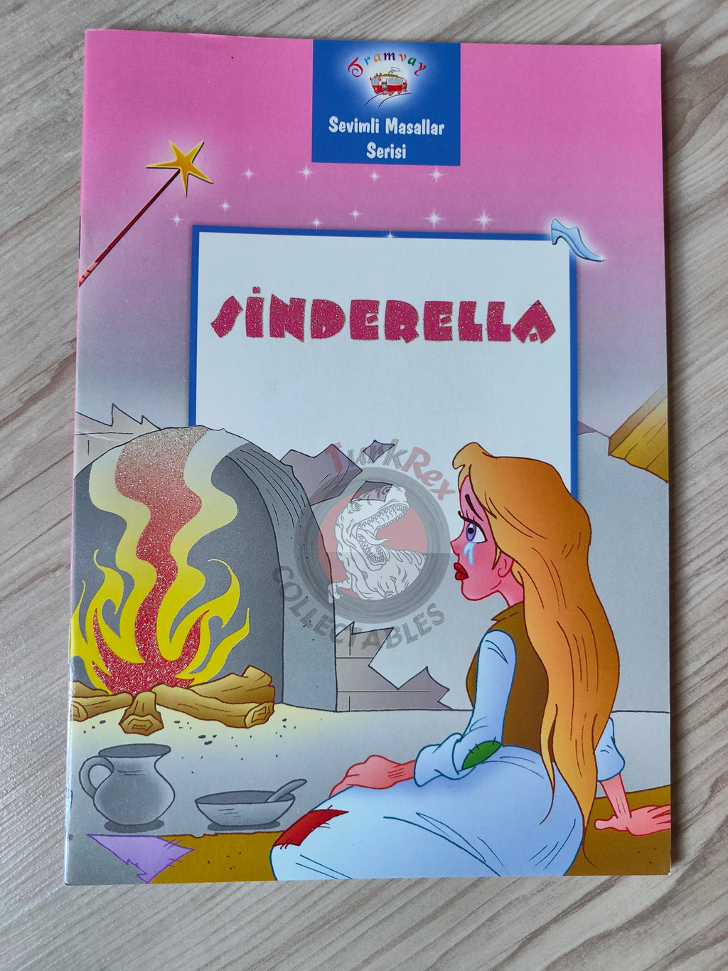 Grimm Brothers – Cinderella 2011 Turkish Book Turkey Illustrated 1