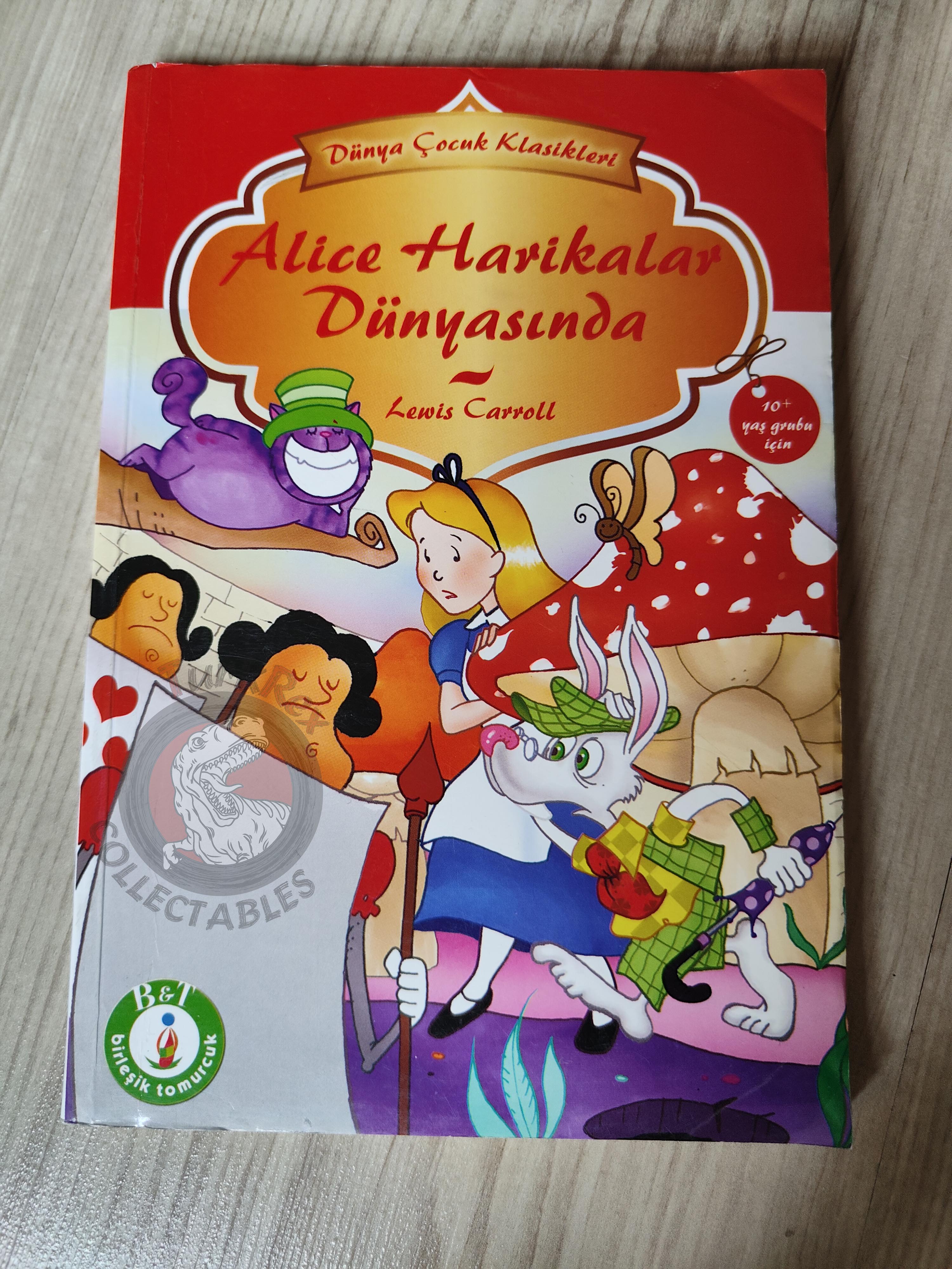 Lewis Carroll – Alice in Wonderland 2010 Turkish Book Turkey Illustrated 1