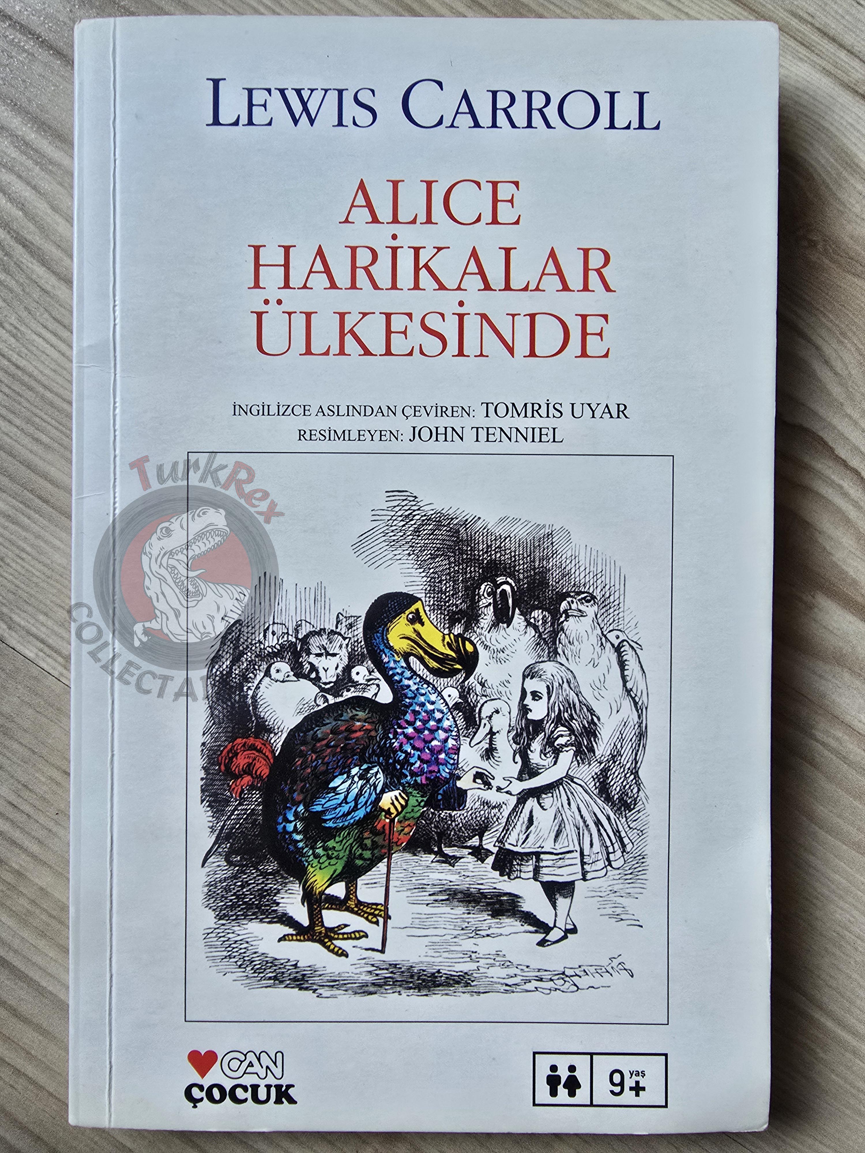 Lewis Carroll – Alice in Wonderland 2008 Turkish Book Turkey Illustrated John Tenniel