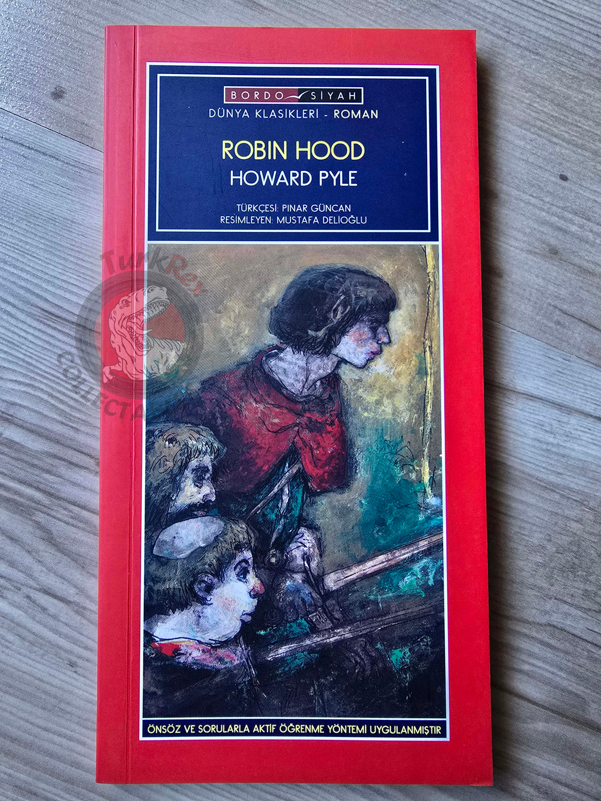 Robin Hood – Howard Pyle 2010 Turkish Book Turkey Illustrated