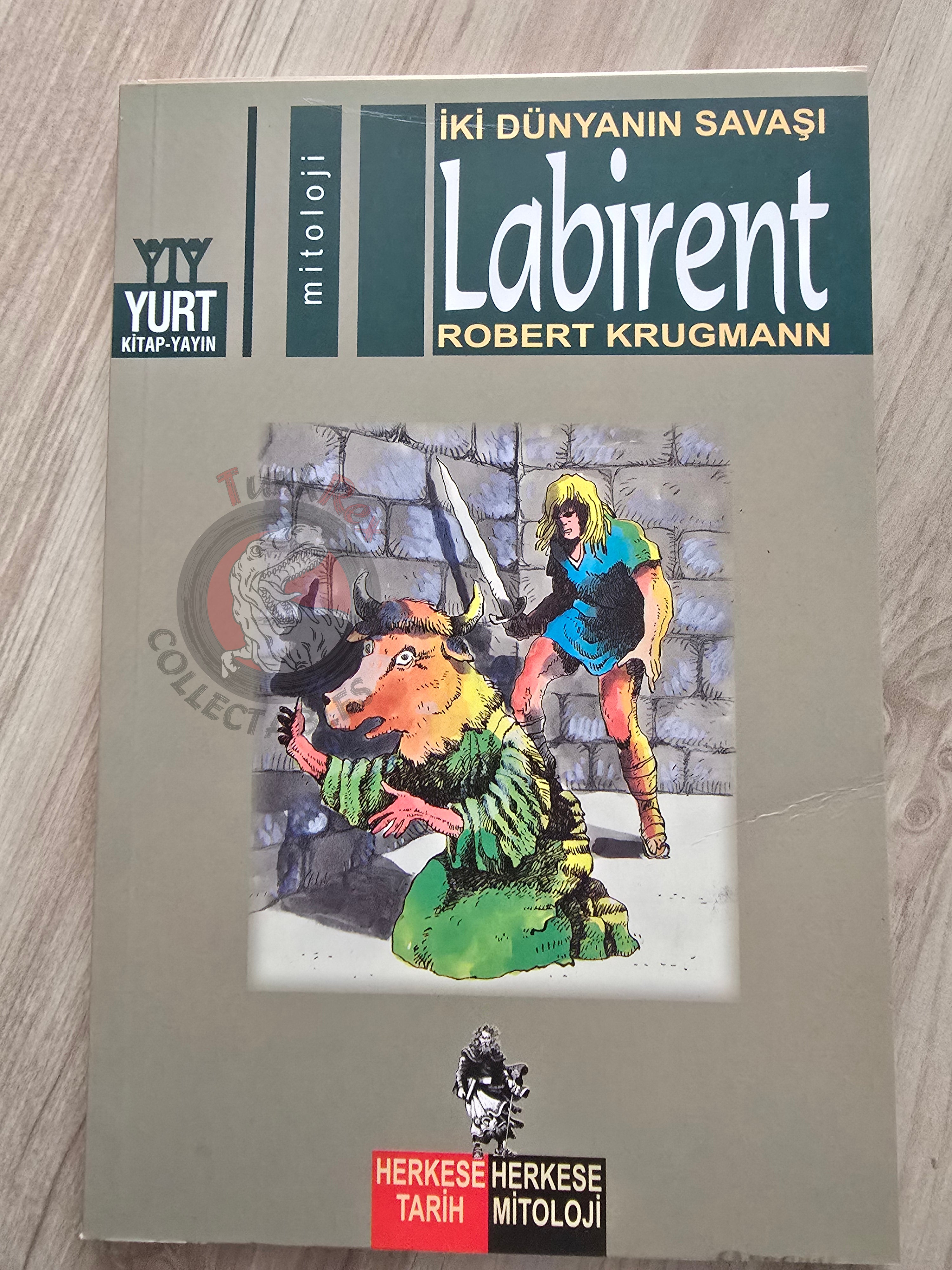 Labyrinth – Robert Krugmann 2003 Turkish Book Turkey Illustrated by Turkish Artist