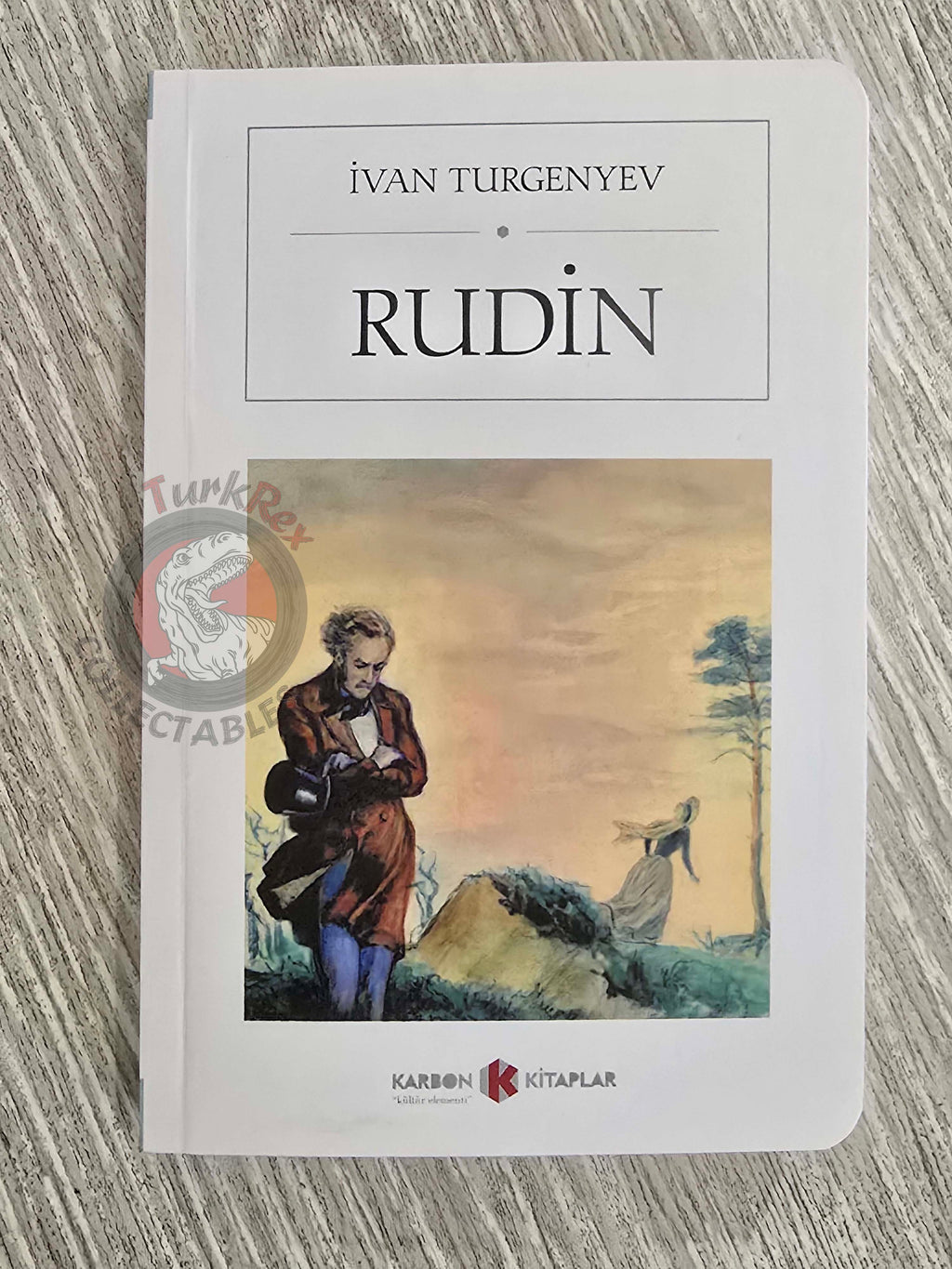 Ivan Turgenev – Rudin 2020 Turkish Book Turkey