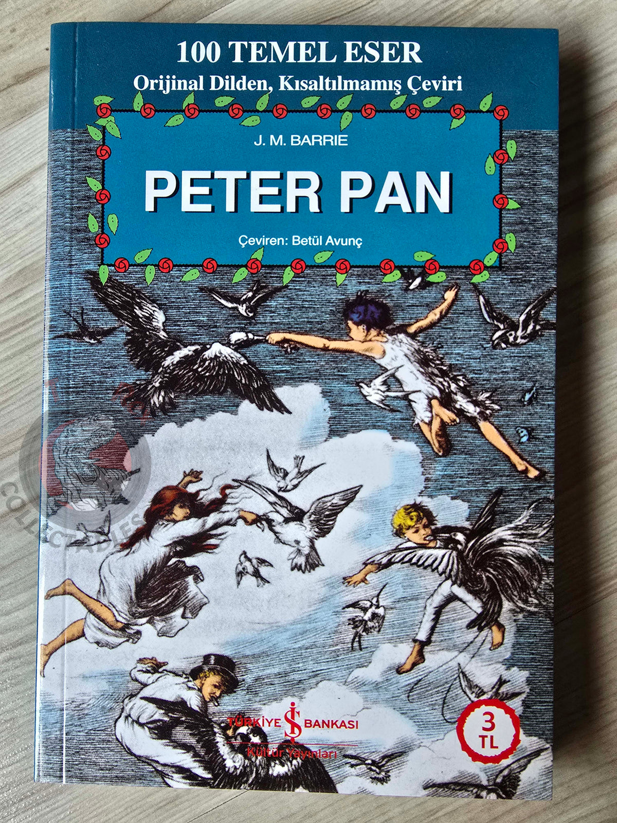J. M. Barrie – Peter Pan 2009 Turkish Book Turkey 1
