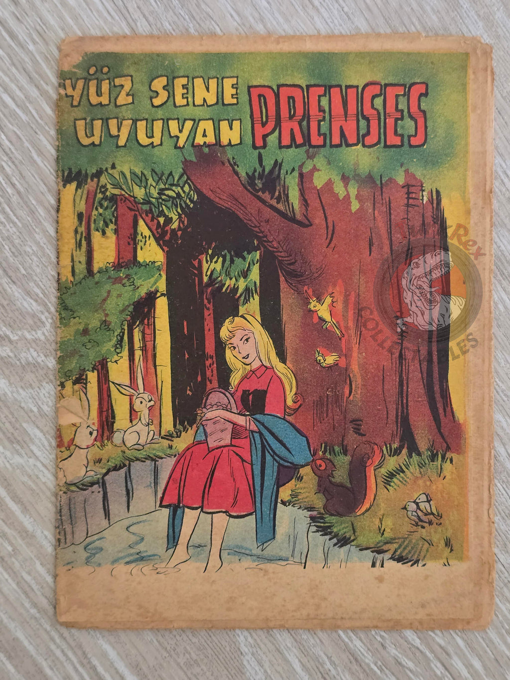 Grimm Brothers –  Sleeping Beauty 1964 Turkish Book Turkey Illustrated