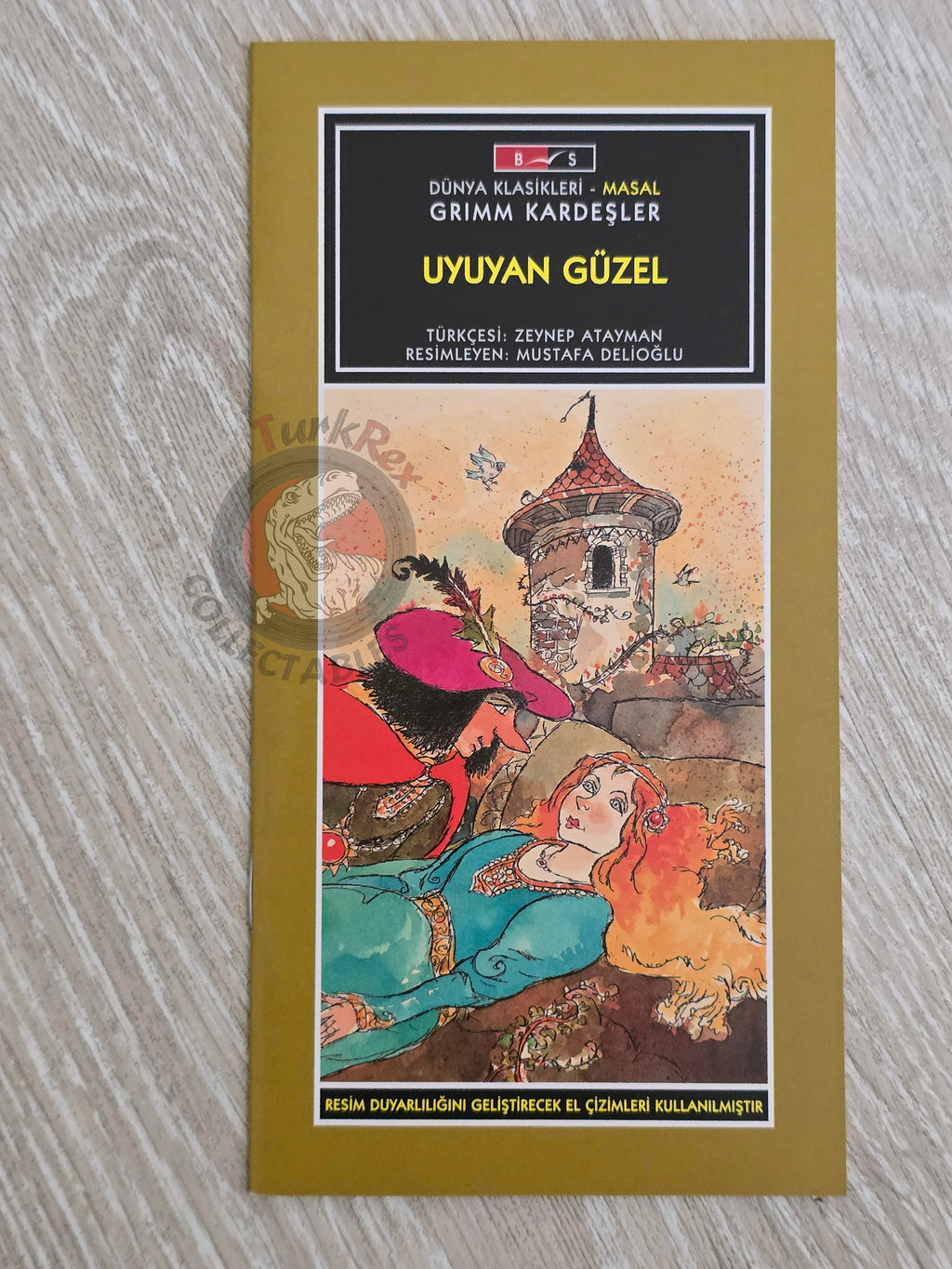 Grimm Brothers –  Sleeping Beauty 2011 Turkish Book Turkey Illustrated