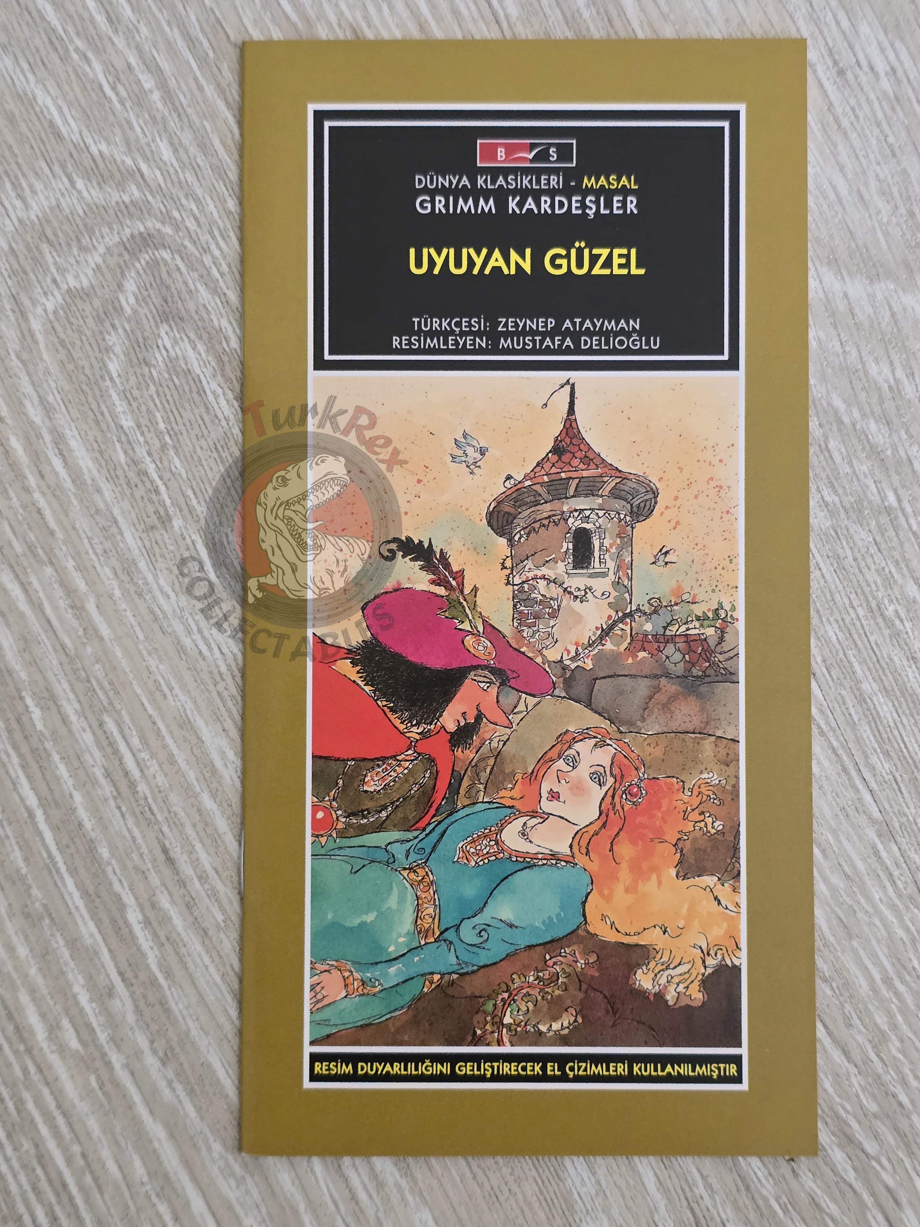 Grimm Brothers –  Sleeping Beauty 2011 Turkish Book Turkey Illustrated